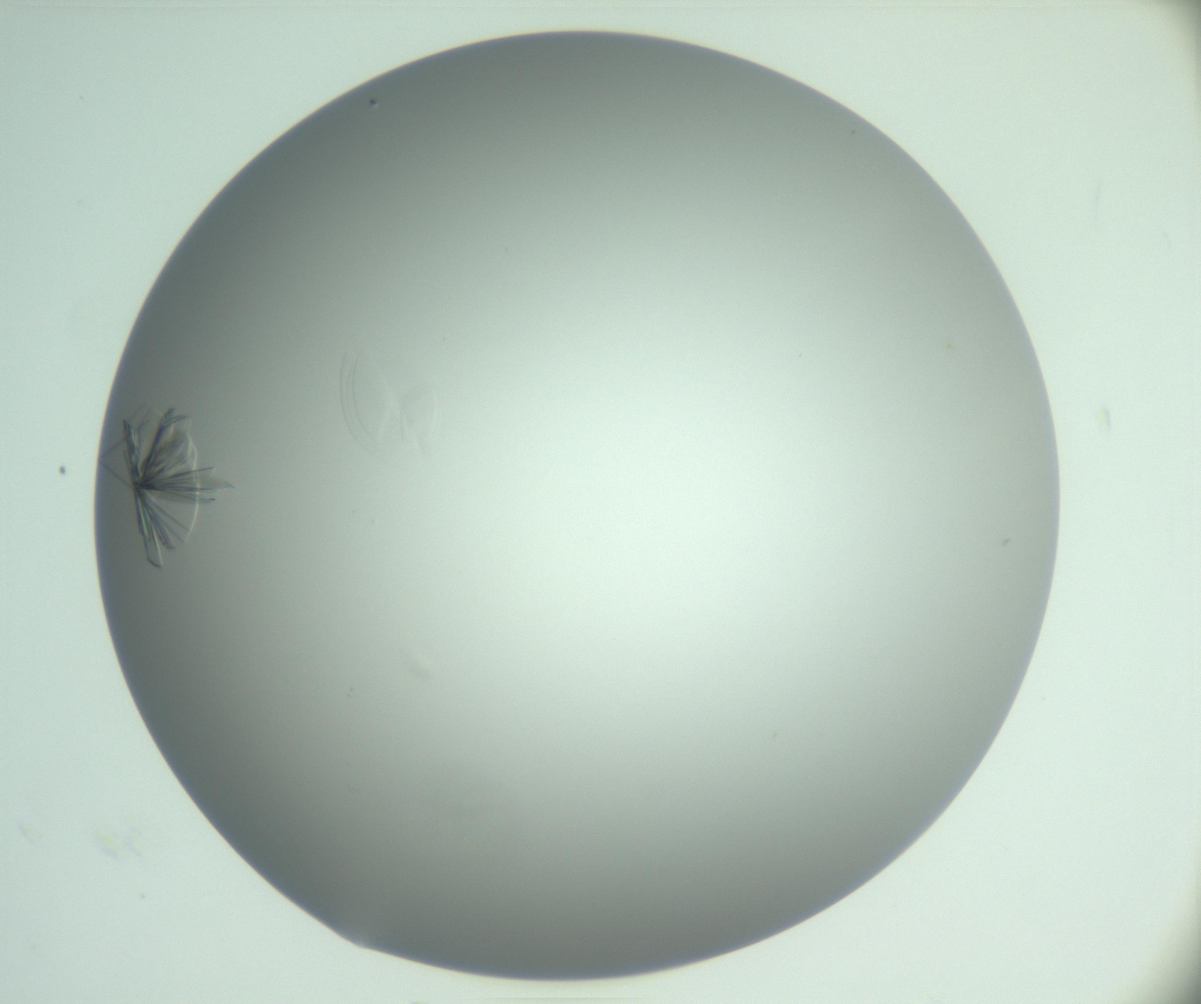 RI01_03_000_0212_Proj1_Clon1_MC_0000MC102985_006_161126_09_04_01_00_99_002_001_RAI.jpg