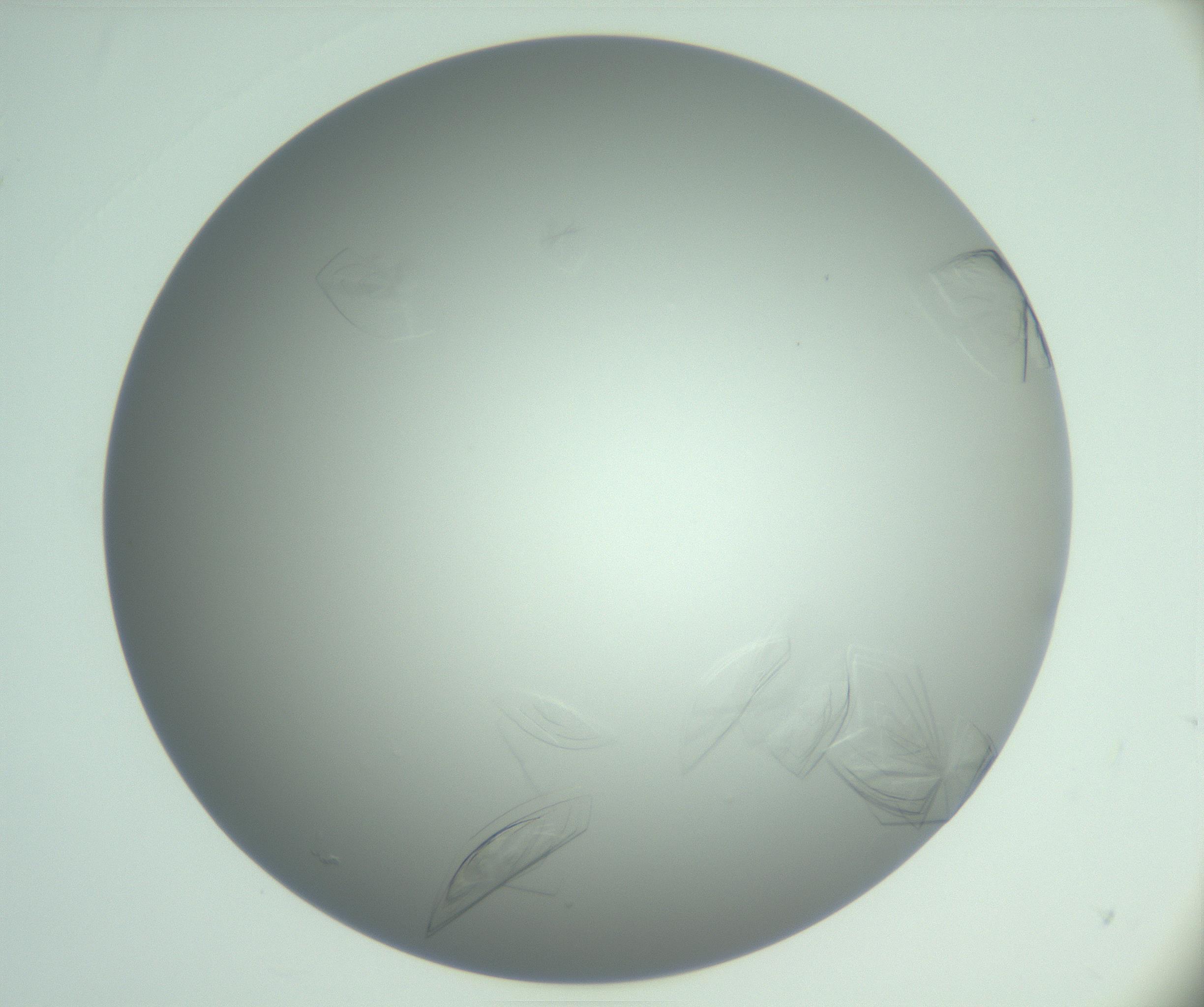 RI01_03_000_0212_Proj1_Clon1_MC_0000MC102985_006_161126_09_05_01_00_99_002_001_RAI.jpg