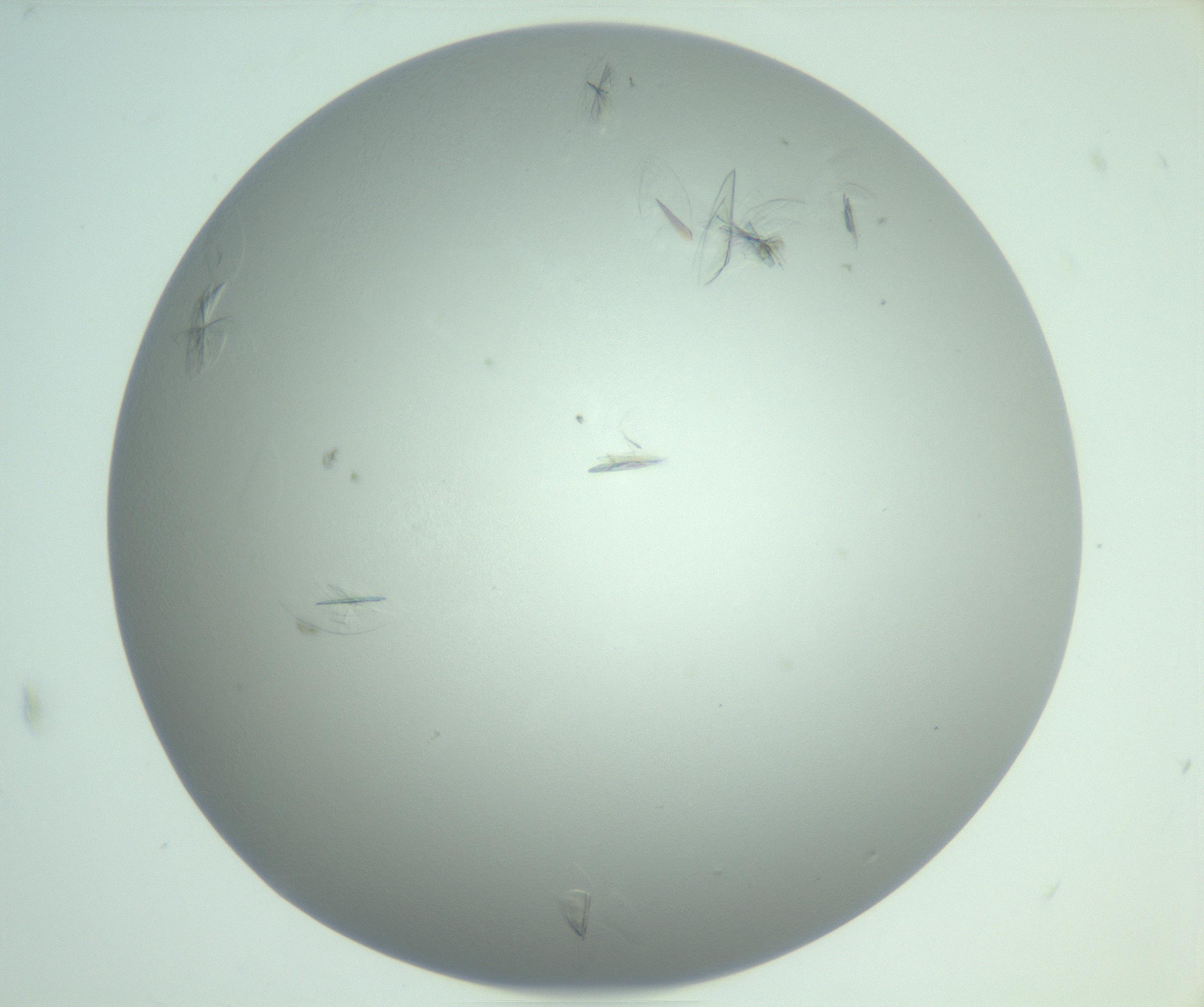 RI01_03_000_0212_Proj1_Clon1_MC_0000MC102985_006_161126_09_08_01_00_99_002_001_RAI.jpg