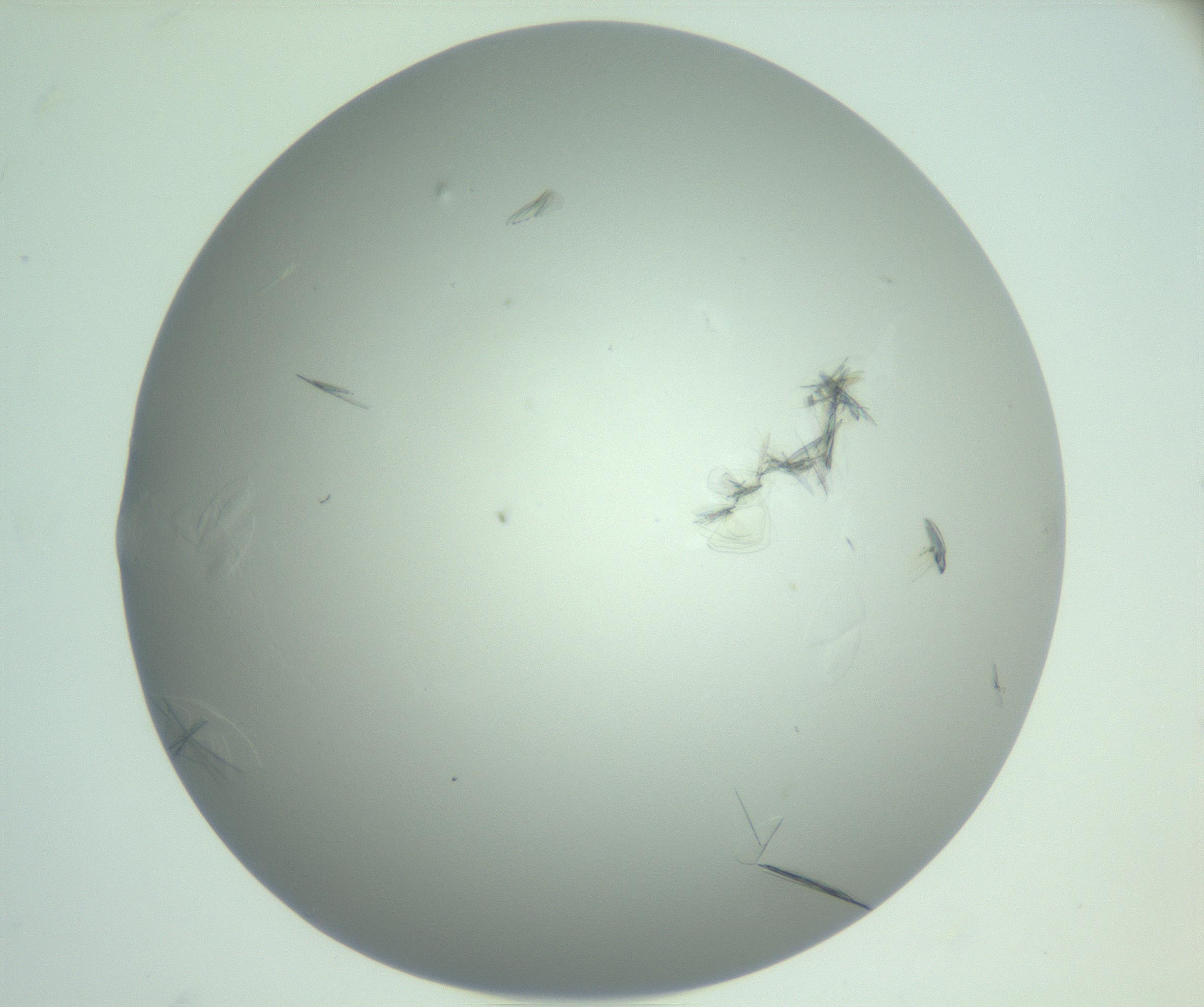 RI01_03_000_0212_Proj1_Clon1_MC_0000MC102985_006_161126_09_08_02_00_99_002_001_RAI.jpg