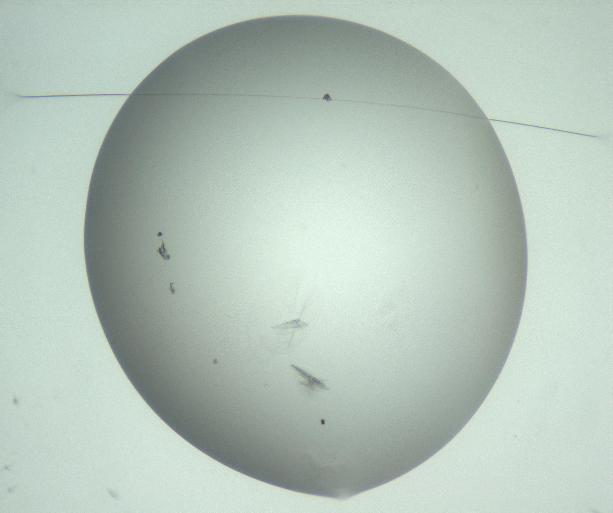 RI01_03_000_0212_Proj1_Clon1_MC_0000MC102985_006_161126_10_01_01_00_99_002_001_RAI.jpg