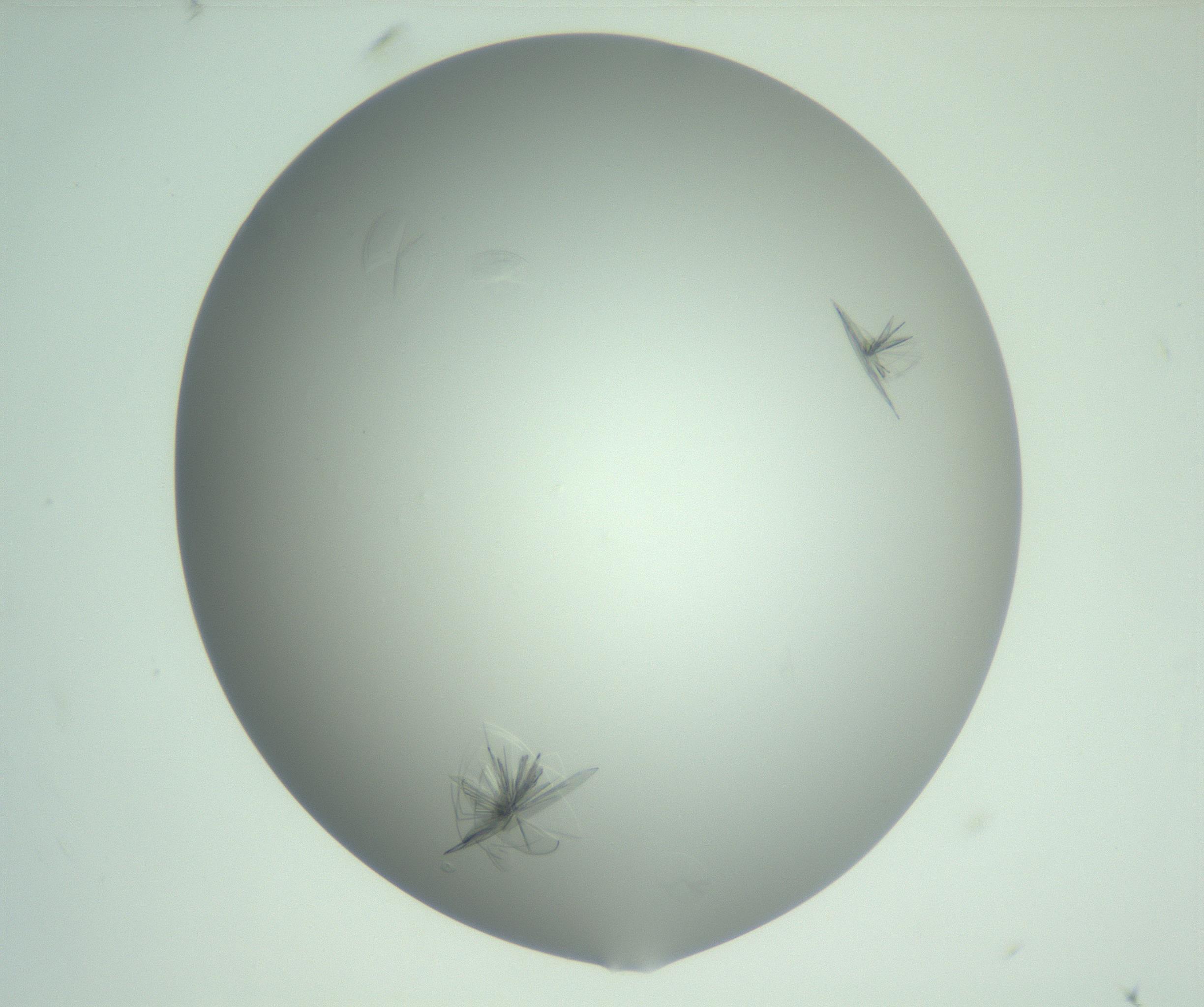 RI01_03_000_0212_Proj1_Clon1_MC_0000MC102985_006_161126_10_01_02_00_99_002_001_RAI.jpg