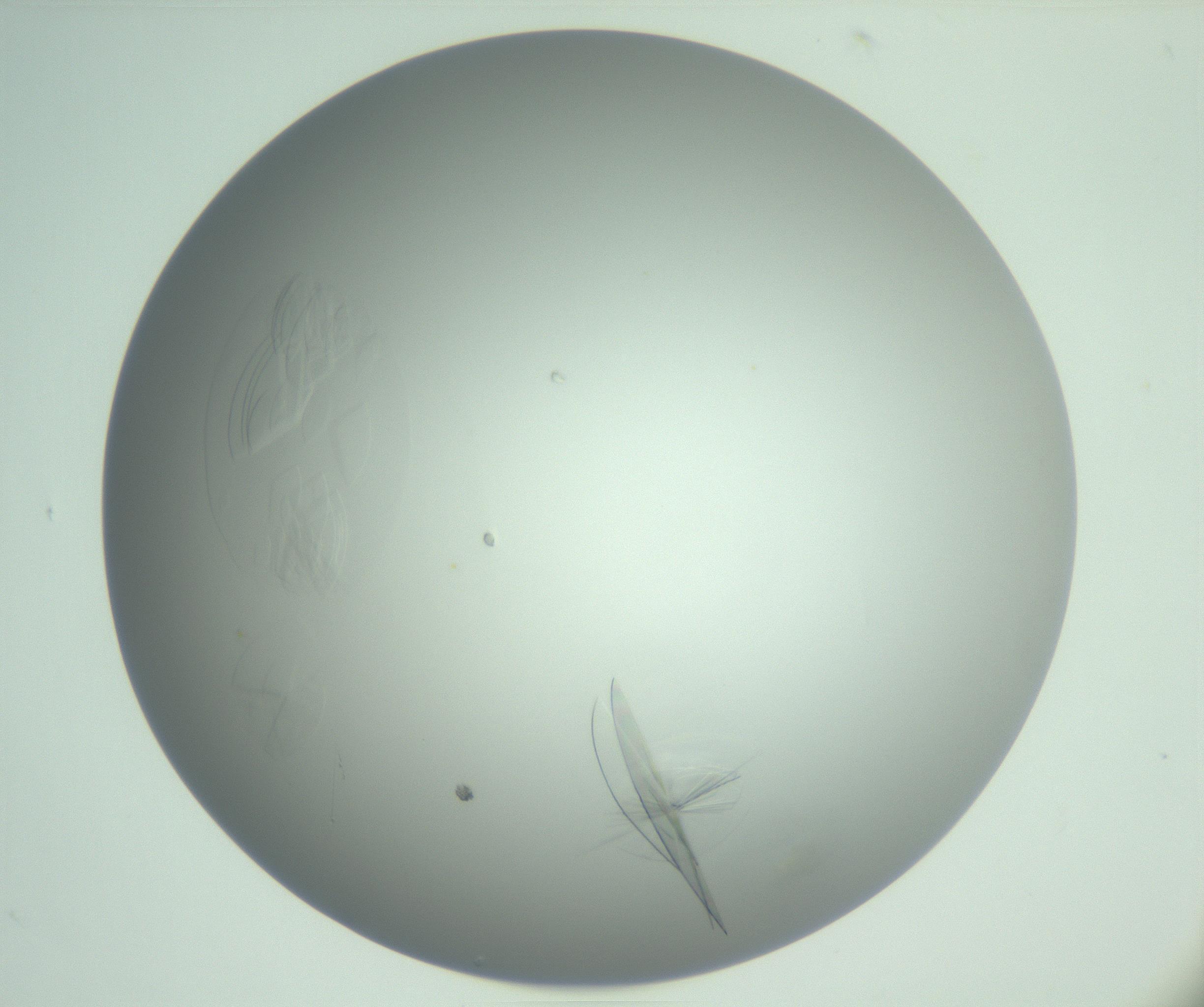 RI01_03_000_0212_Proj1_Clon1_MC_0000MC102985_006_161126_10_03_01_00_99_002_001_RAI.jpg