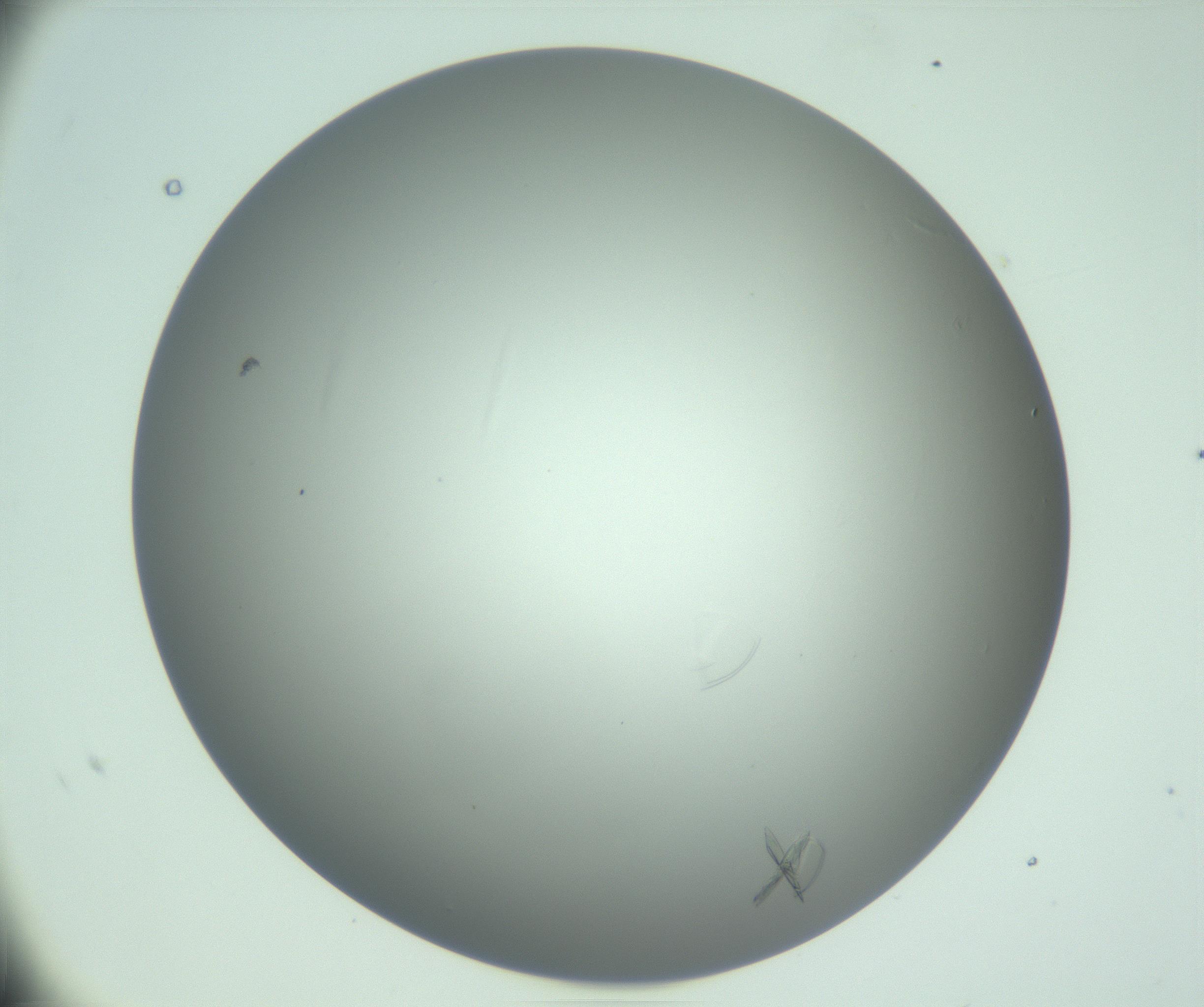 RI01_03_000_0212_Proj1_Clon1_MC_0000MC102985_006_161126_10_07_01_00_99_002_001_RAI.jpg