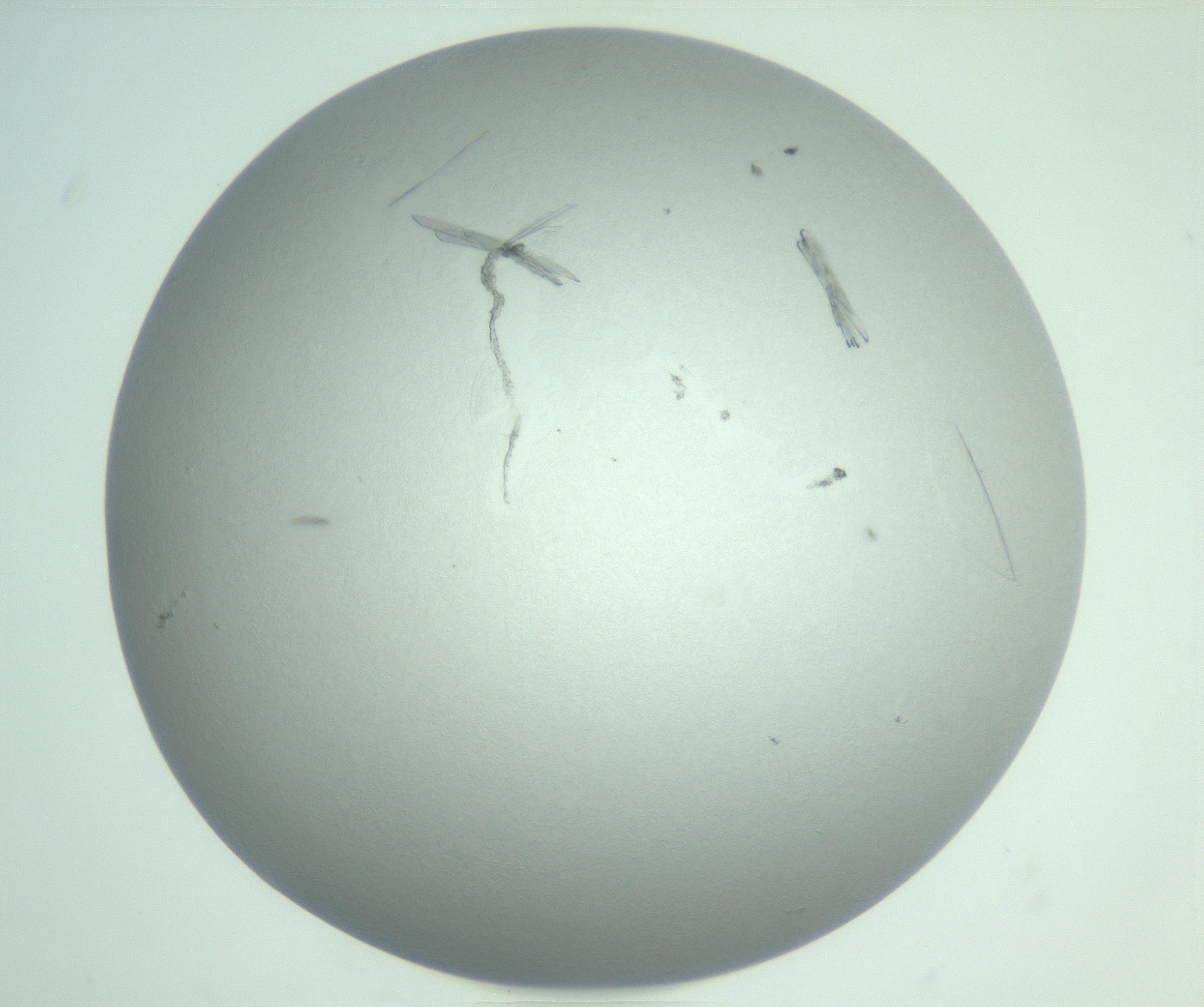 RI01_03_000_0212_Proj1_Clon1_MC_0000MC102985_006_161126_10_08_01_00_99_002_001_RAI.jpg