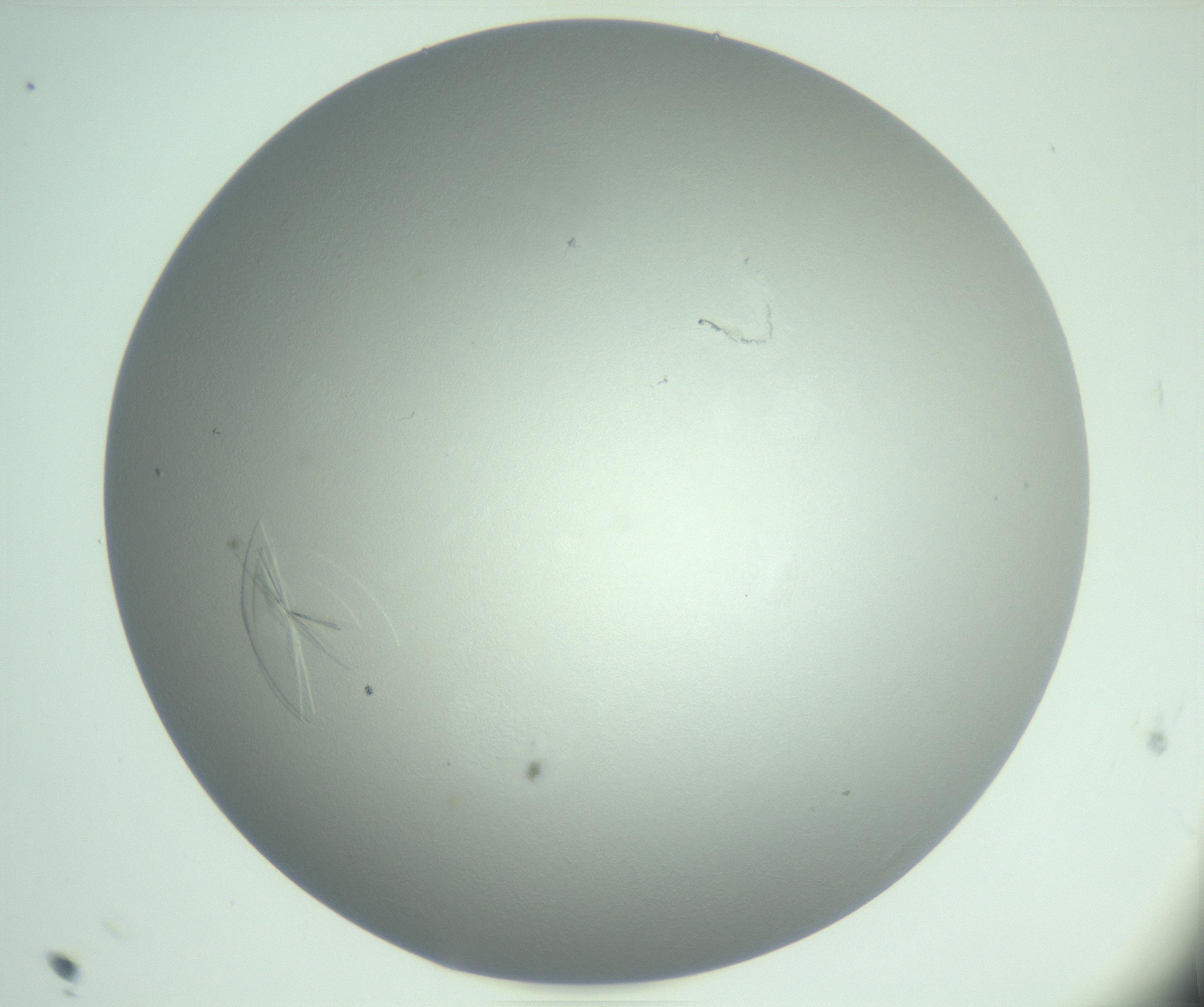 RI01_03_000_0212_Proj1_Clon1_MC_0000MC102985_006_161126_11_02_01_00_99_002_001_RAI.jpg