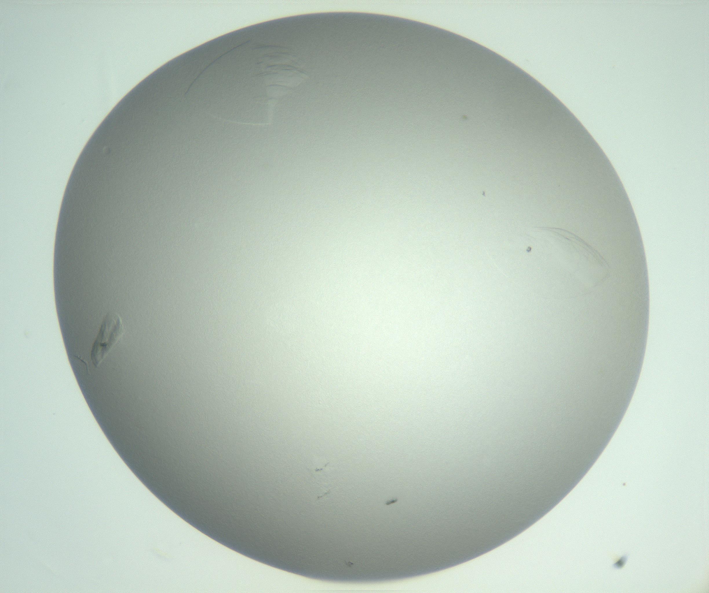 RI01_03_000_0212_Proj1_Clon1_MC_0000MC102985_006_161126_11_02_02_00_99_002_001_RAI.jpg