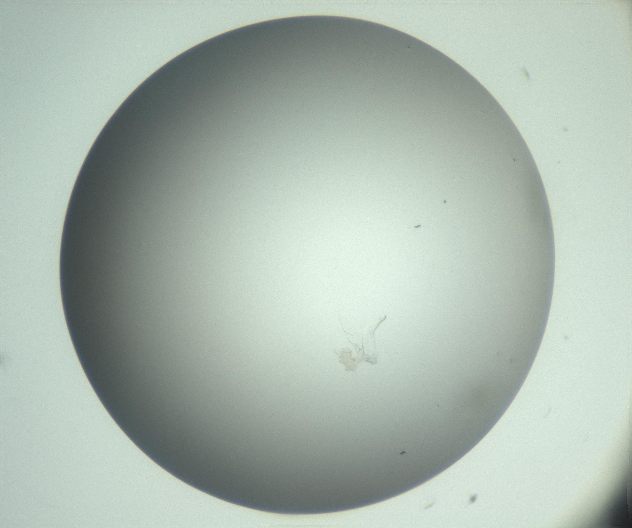 RI01_03_000_0212_Proj1_Clon1_MC_0000MC102985_006_161126_11_03_01_00_99_002_001_RAI.jpg