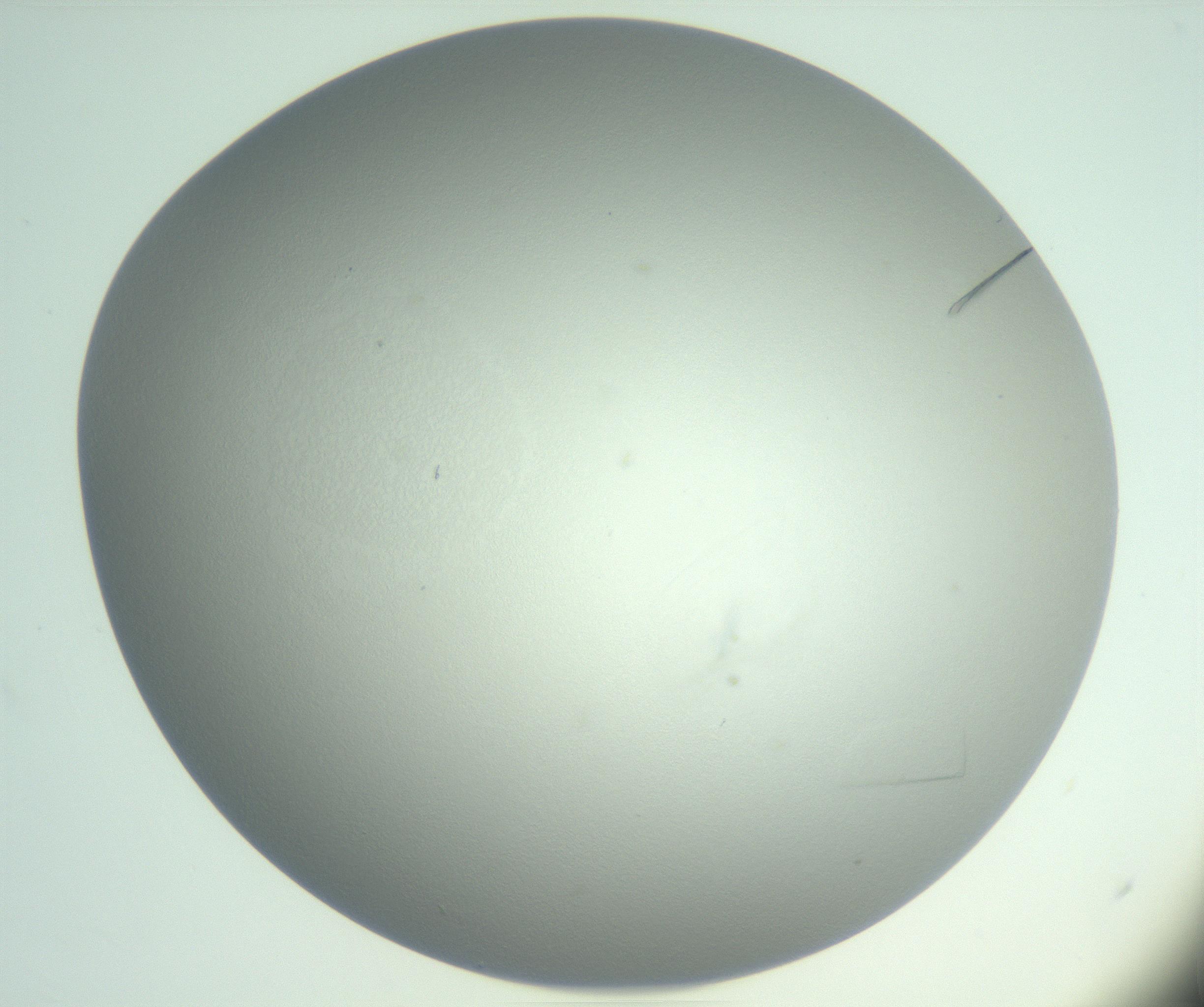 RI01_03_000_0212_Proj1_Clon1_MC_0000MC102985_006_161126_12_02_02_00_99_002_001_RAI.jpg