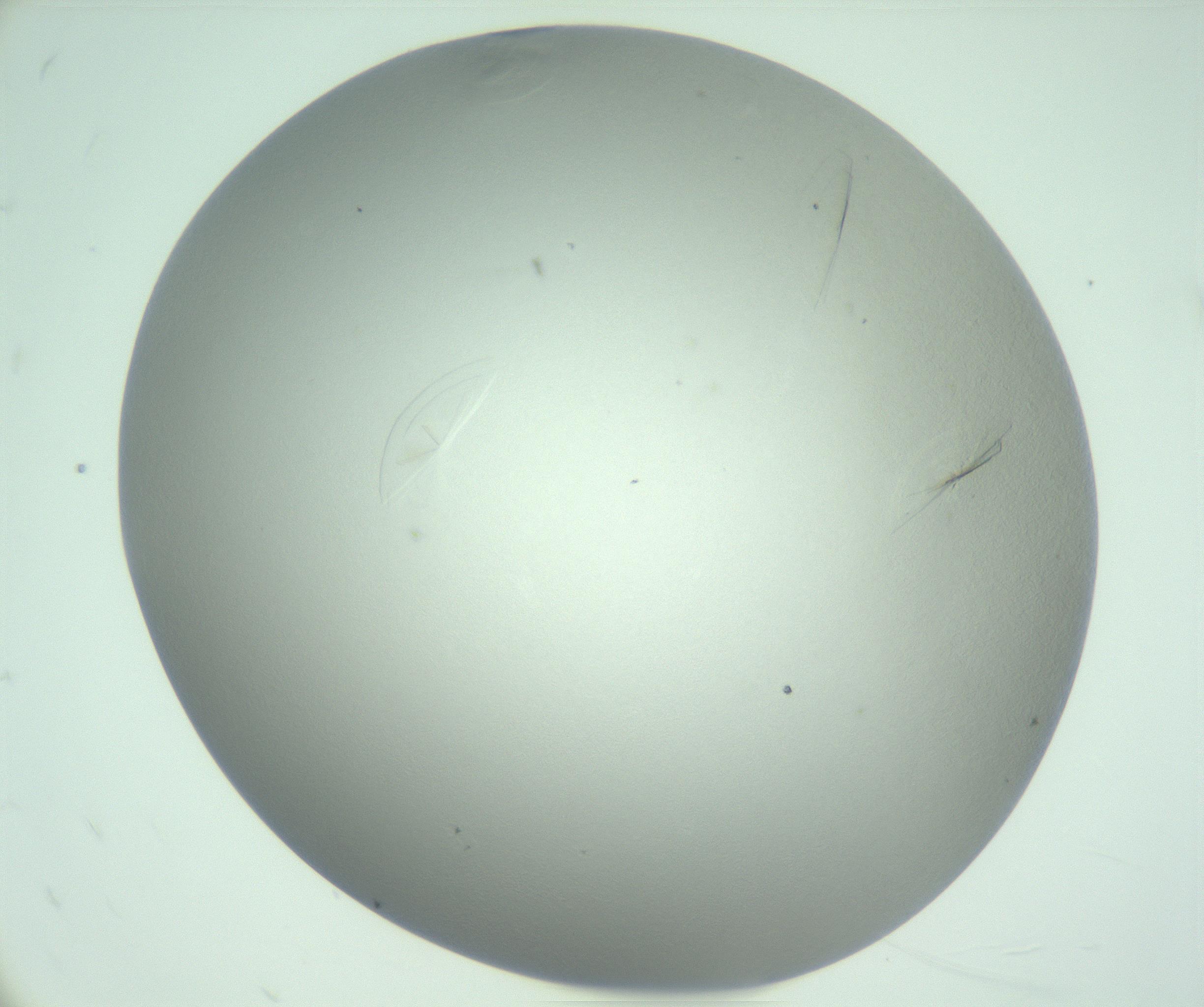 RI01_03_000_0212_Proj1_Clon1_MC_0000MC102985_006_161126_12_07_01_00_99_002_001_RAI.jpg