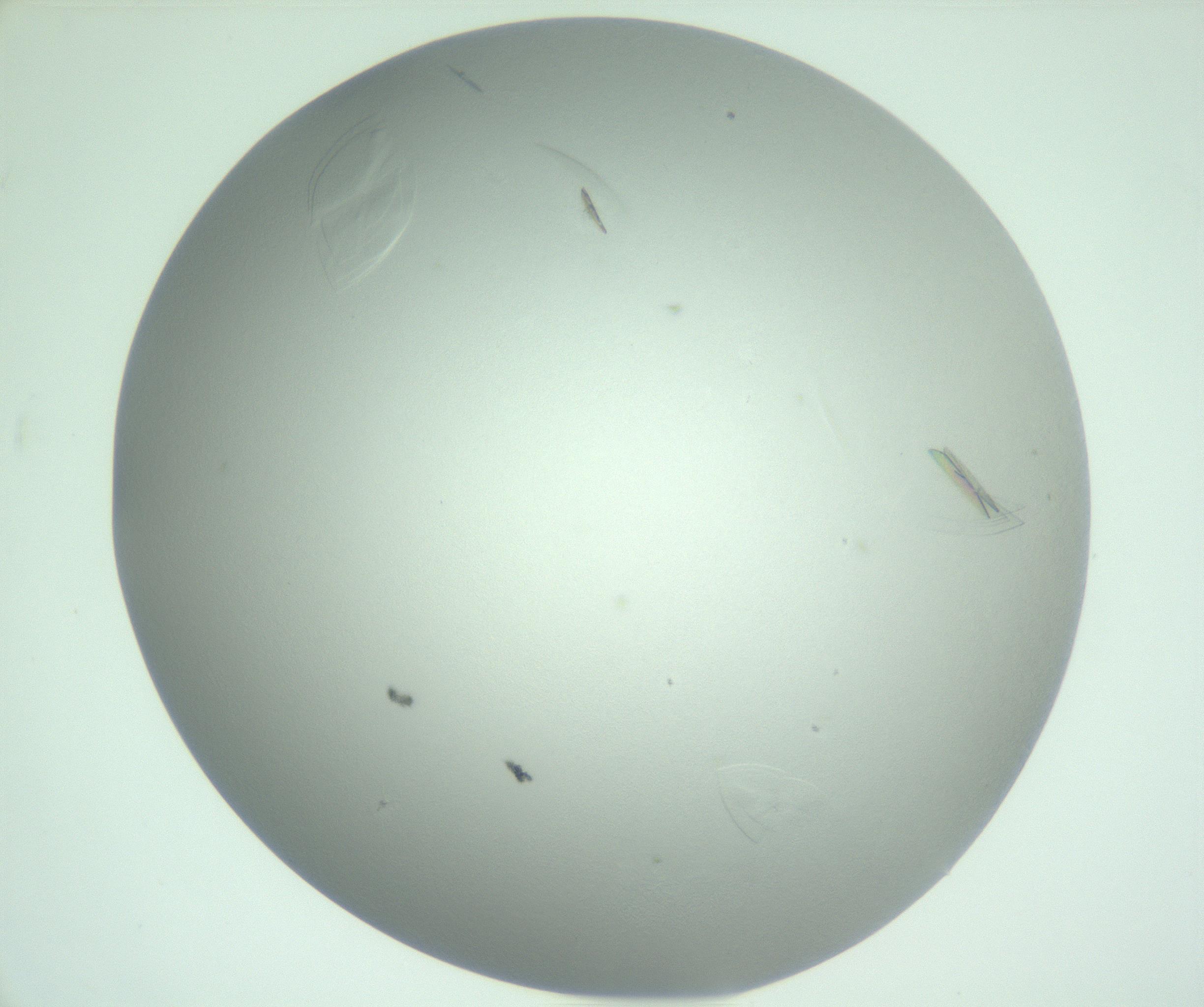 RI01_03_000_0212_Proj1_Clon1_MC_0000MC102985_006_161126_12_07_02_00_99_002_001_RAI.jpg