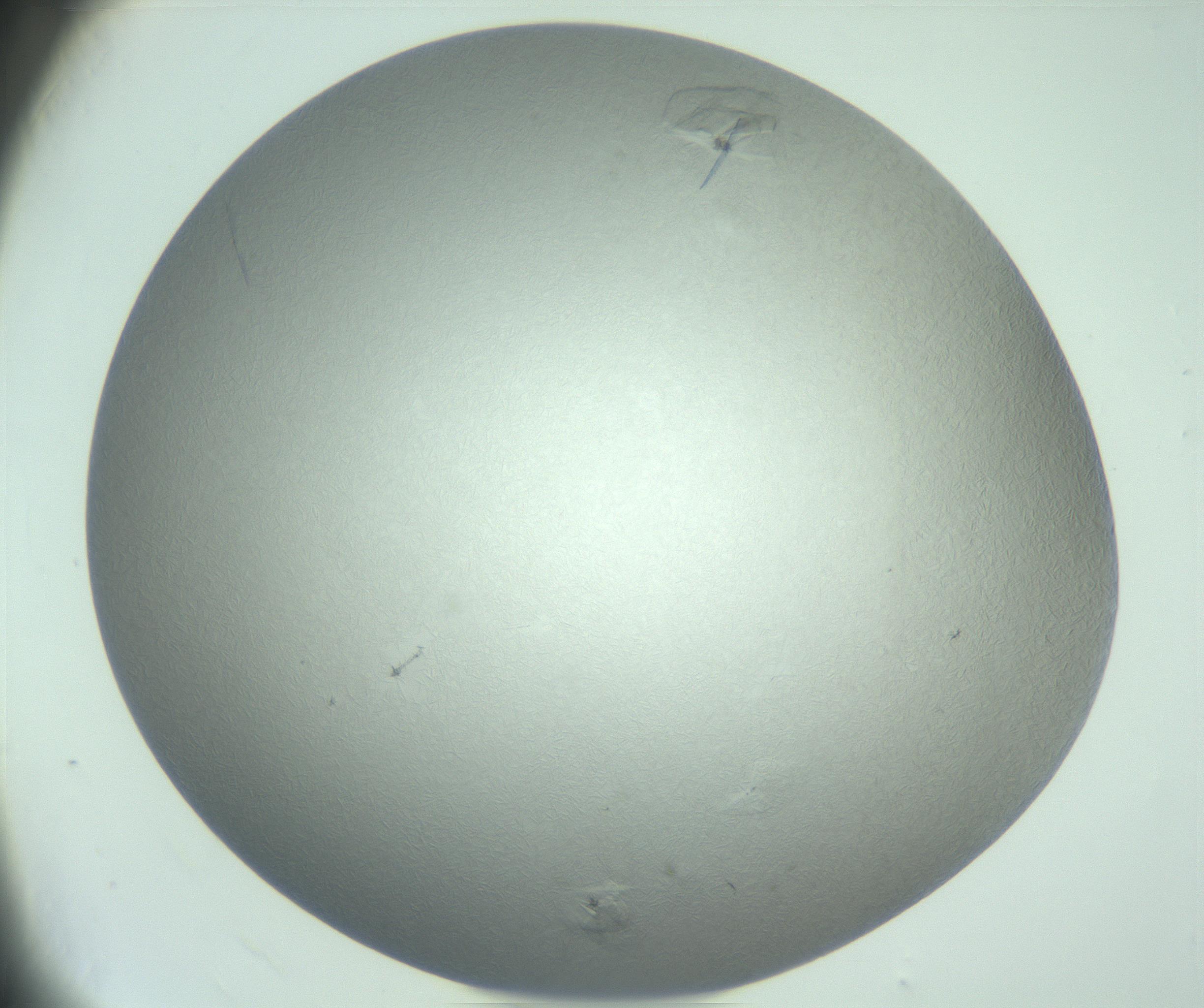 RI01_03_000_0212_Proj1_Clon1_MC_0000MC102985_006_161126_12_08_02_00_99_002_001_RAI.jpg