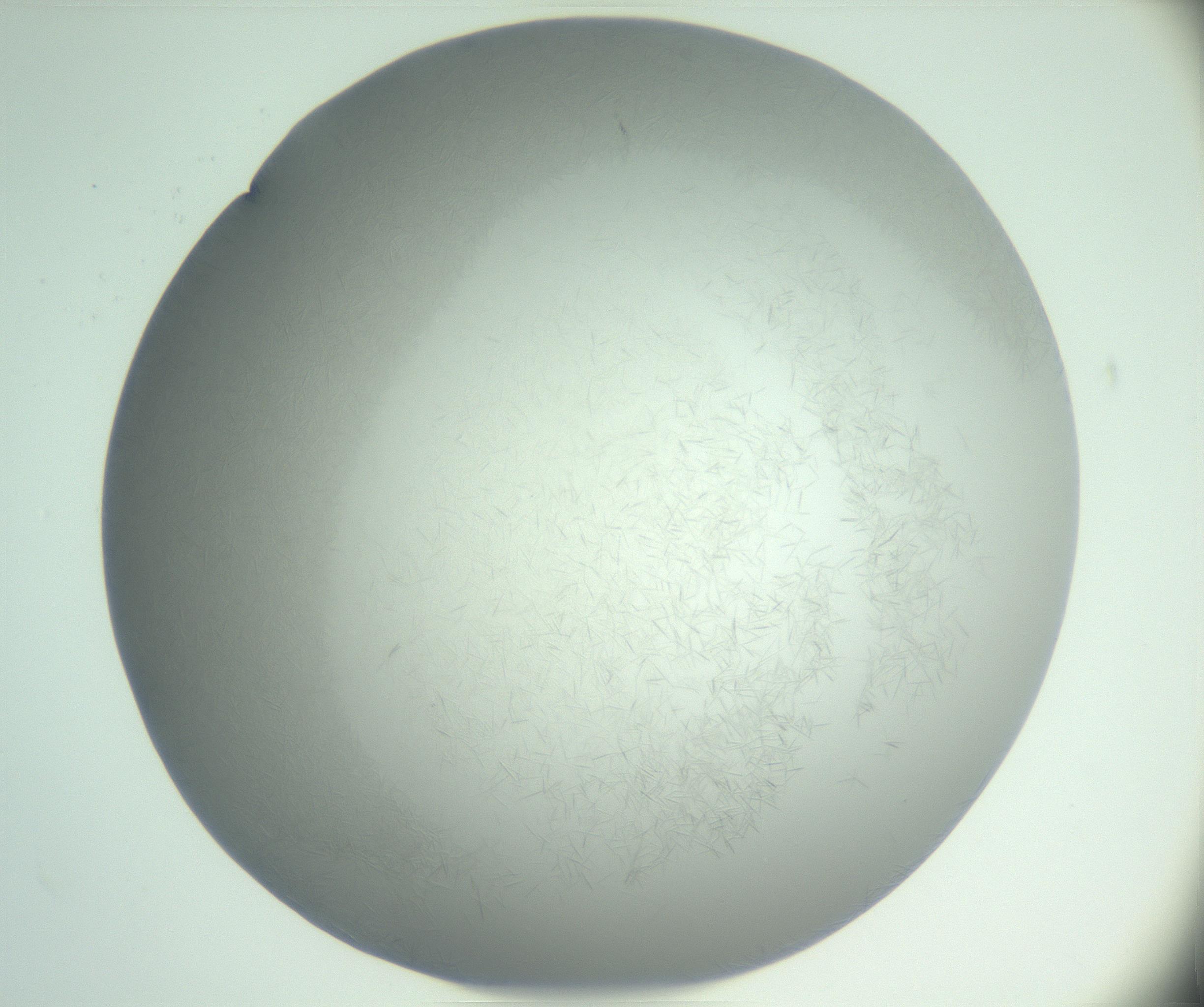 RI01_03_000_0212_Proj1_Clon1_MC_0000MC102986_003_161119_01_04_02_00_99_002_001_RAI.jpg