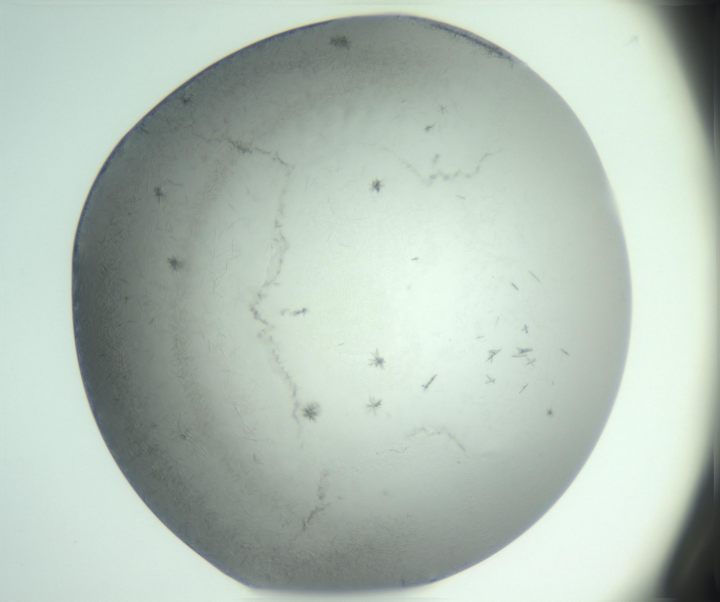 RI01_03_000_0212_Proj1_Clon1_MC_0000MC102986_003_161119_04_02_01_00_99_002_001_RAI.jpg