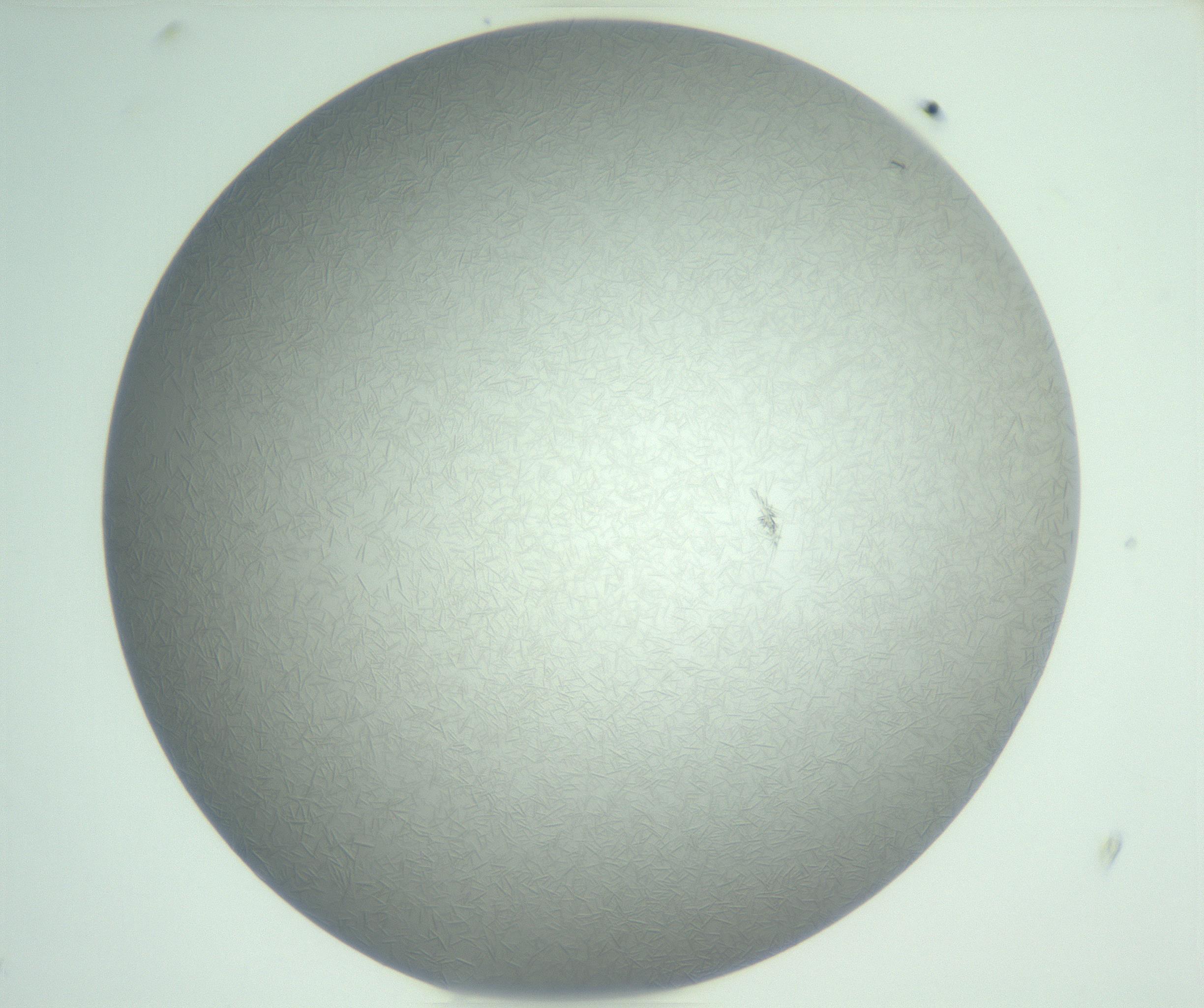 RI01_03_000_0212_Proj1_Clon1_MC_0000MC102986_003_161119_09_02_01_00_99_002_001_RAI.jpg