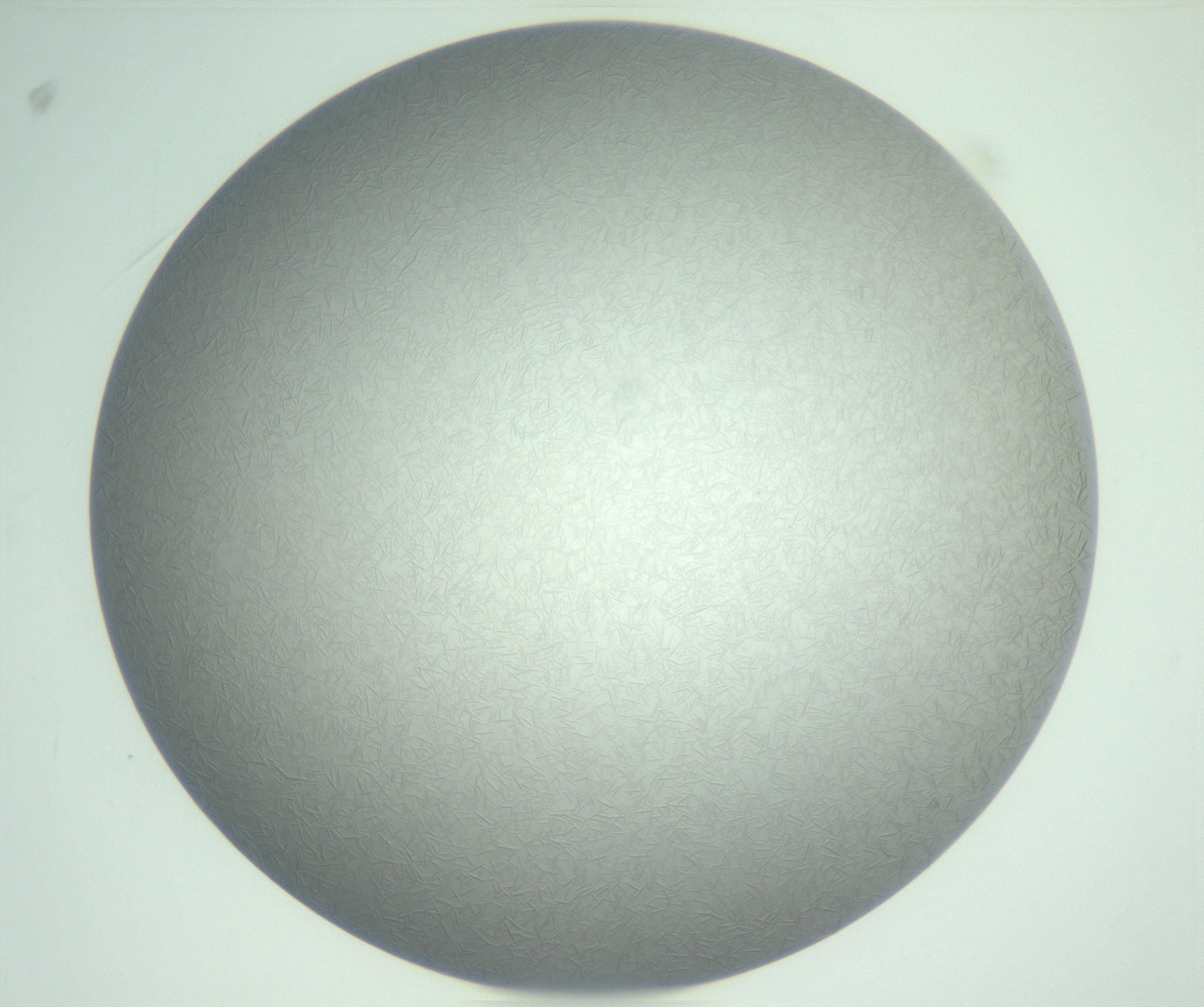 RI01_03_000_0212_Proj1_Clon1_MC_0000MC102986_003_161119_09_02_02_00_99_002_001_RAI.jpg