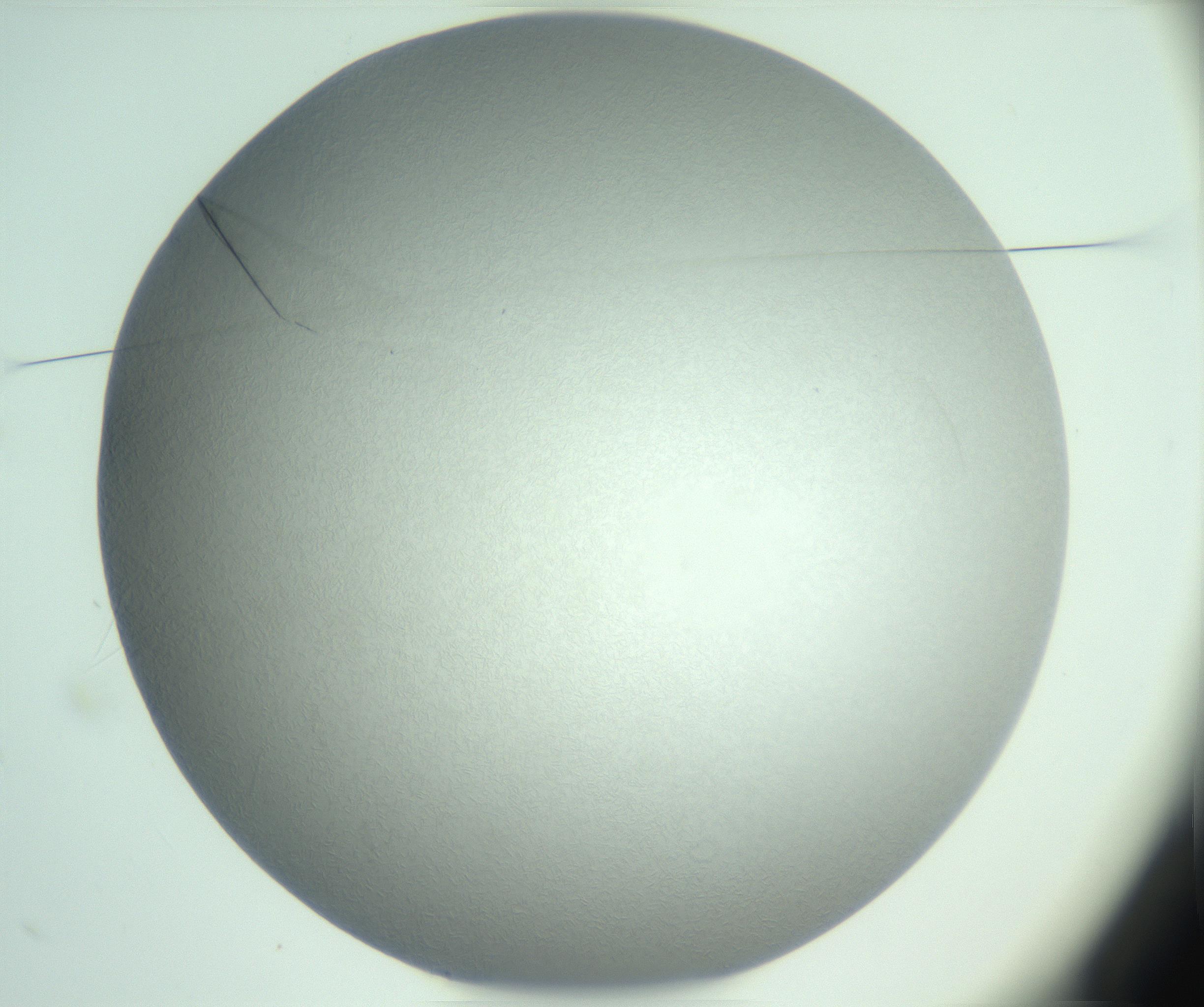 RI01_03_000_0212_Proj1_Clon1_MC_0000MC102986_006_161126_02_01_01_00_99_002_001_RAI.jpg