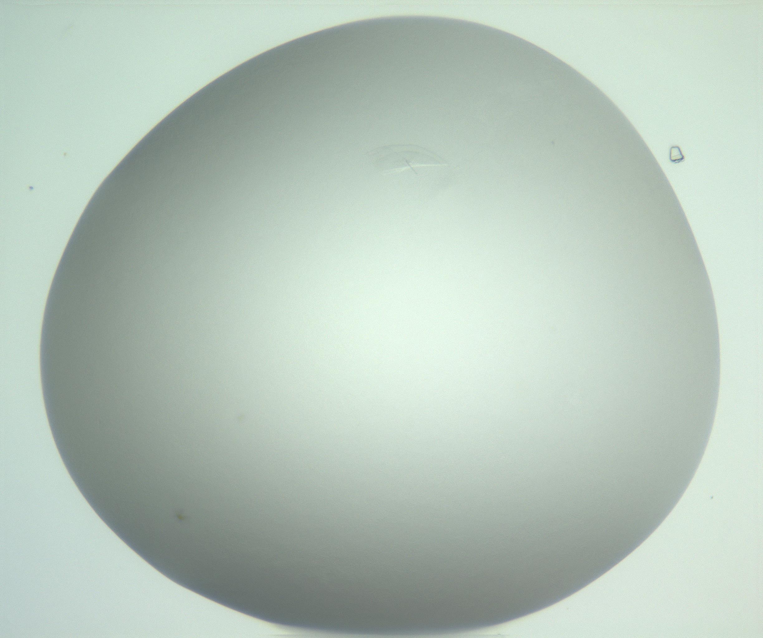 RI01_03_000_0212_Proj1_Clon1_MC_0000MC102986_006_161126_06_08_02_00_99_002_001_RAI.jpg