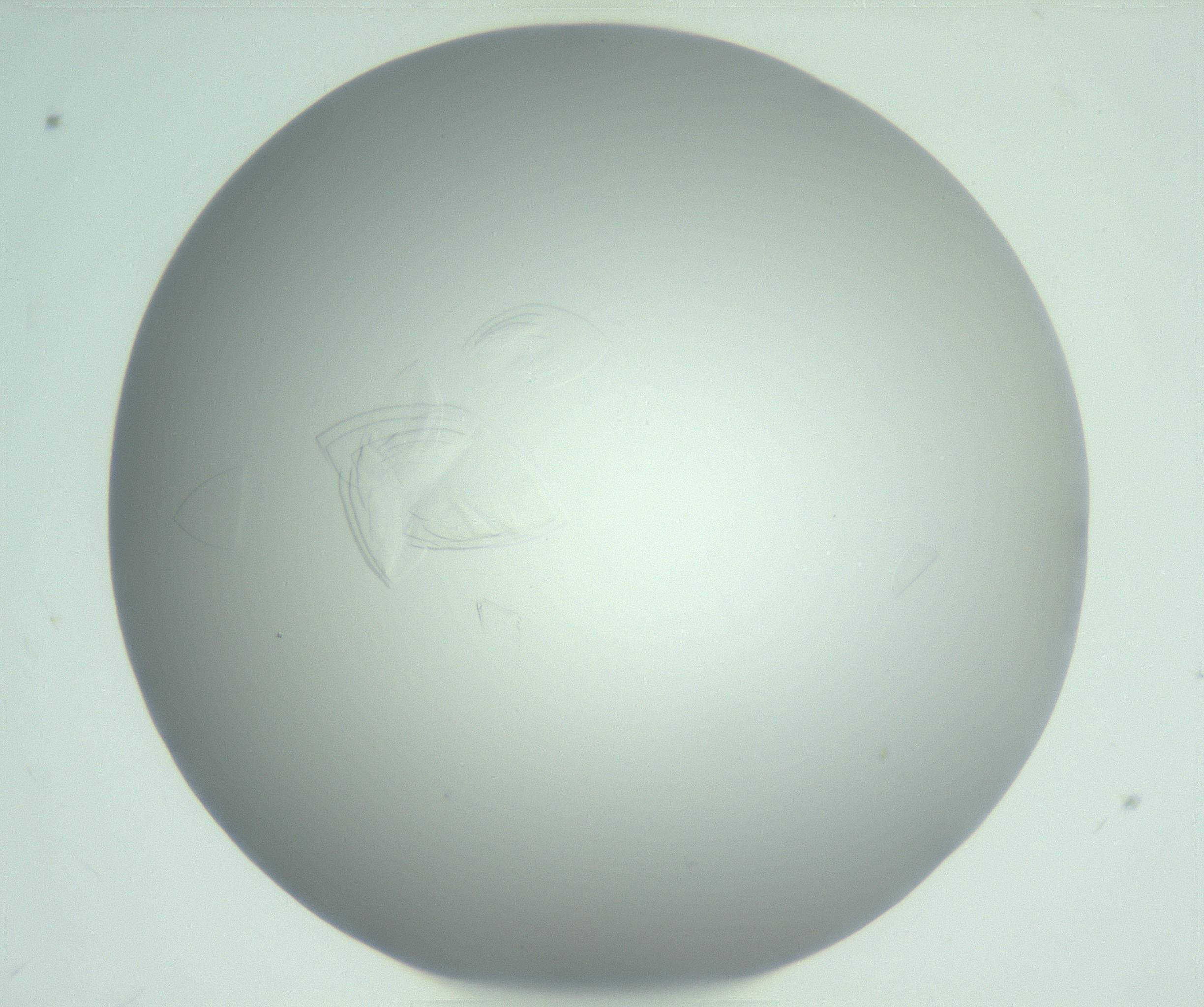 RI01_03_000_0212_Proj1_Clon1_MC_0000MC102986_006_161126_07_02_01_00_99_002_001_RAI.jpg