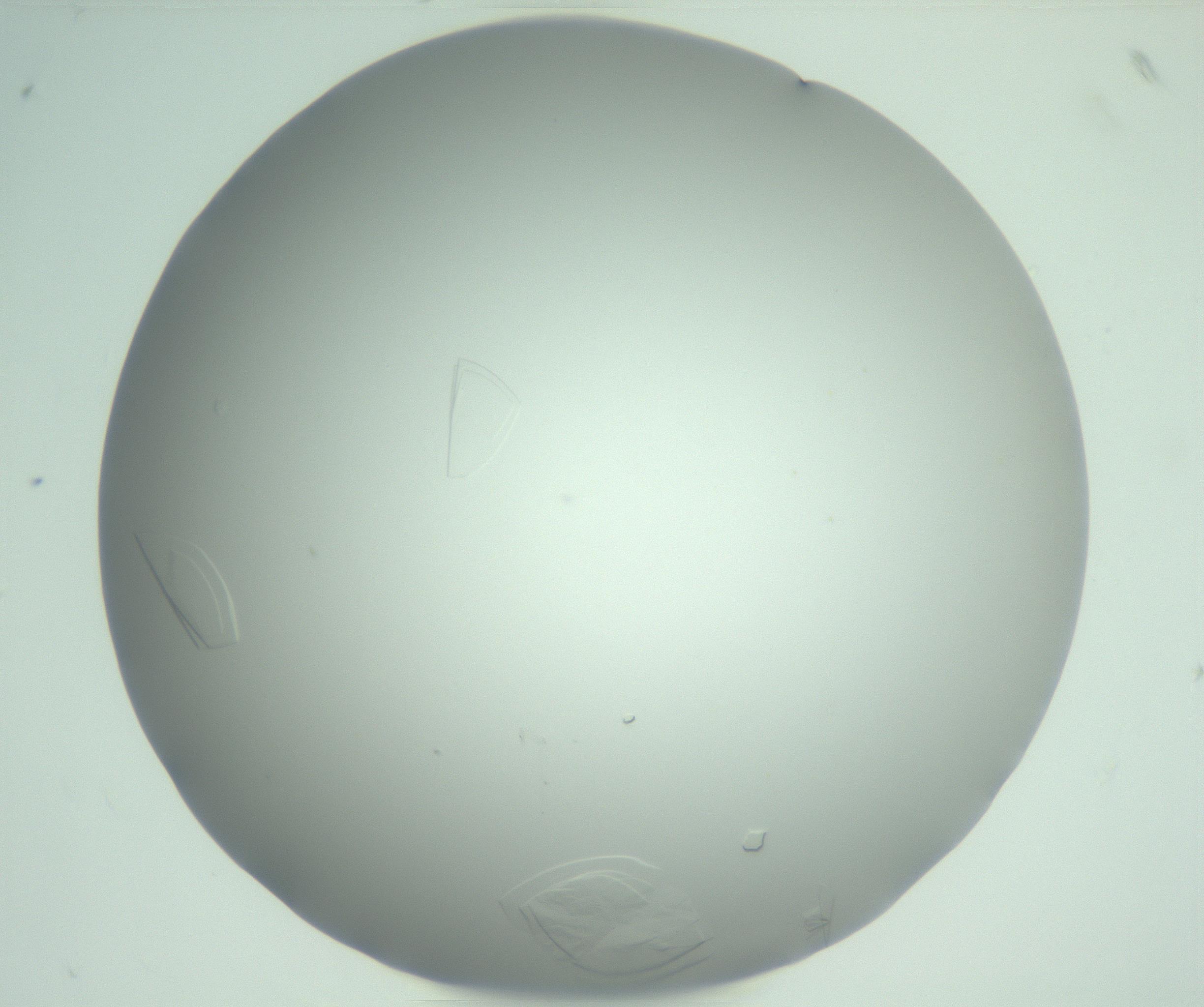 RI01_03_000_0212_Proj1_Clon1_MC_0000MC102986_006_161126_07_02_02_00_99_002_001_RAI.jpg