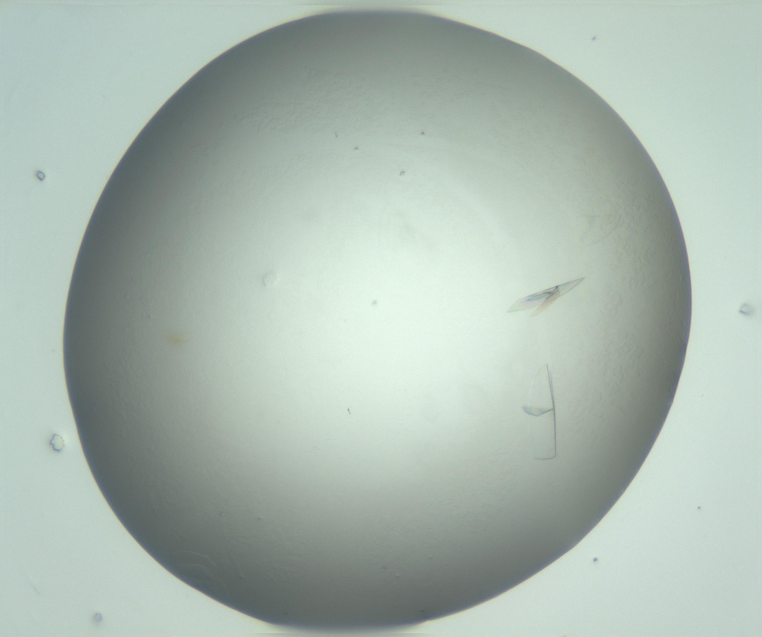 RI01_03_000_0212_Proj1_Clon1_MC_0000MC102986_006_161126_07_07_01_00_99_002_001_RAI.jpg