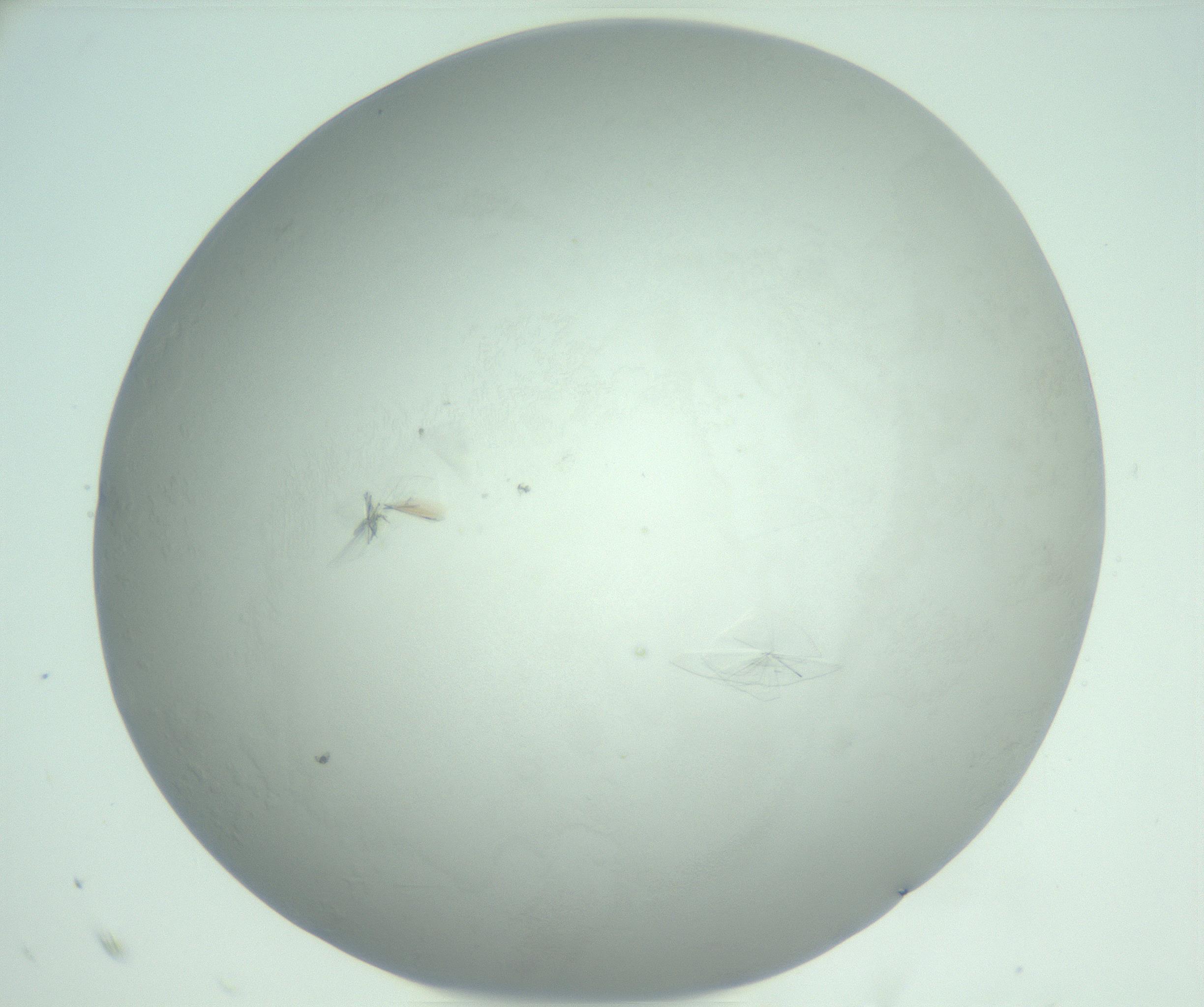 RI01_03_000_0212_Proj1_Clon1_MC_0000MC102986_006_161126_07_07_02_00_99_002_001_RAI.jpg
