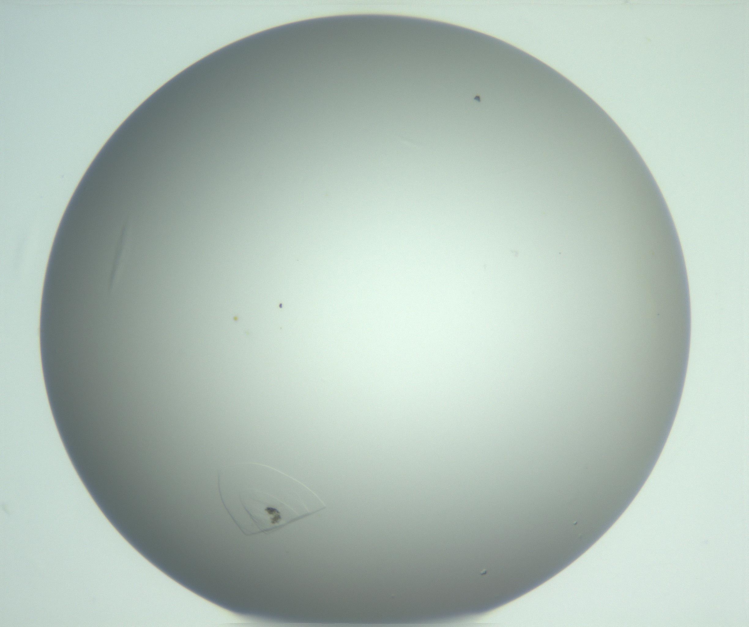 RI01_03_000_0212_Proj1_Clon1_MC_0000MC102986_006_161126_10_07_01_00_99_002_001_RAI.jpg