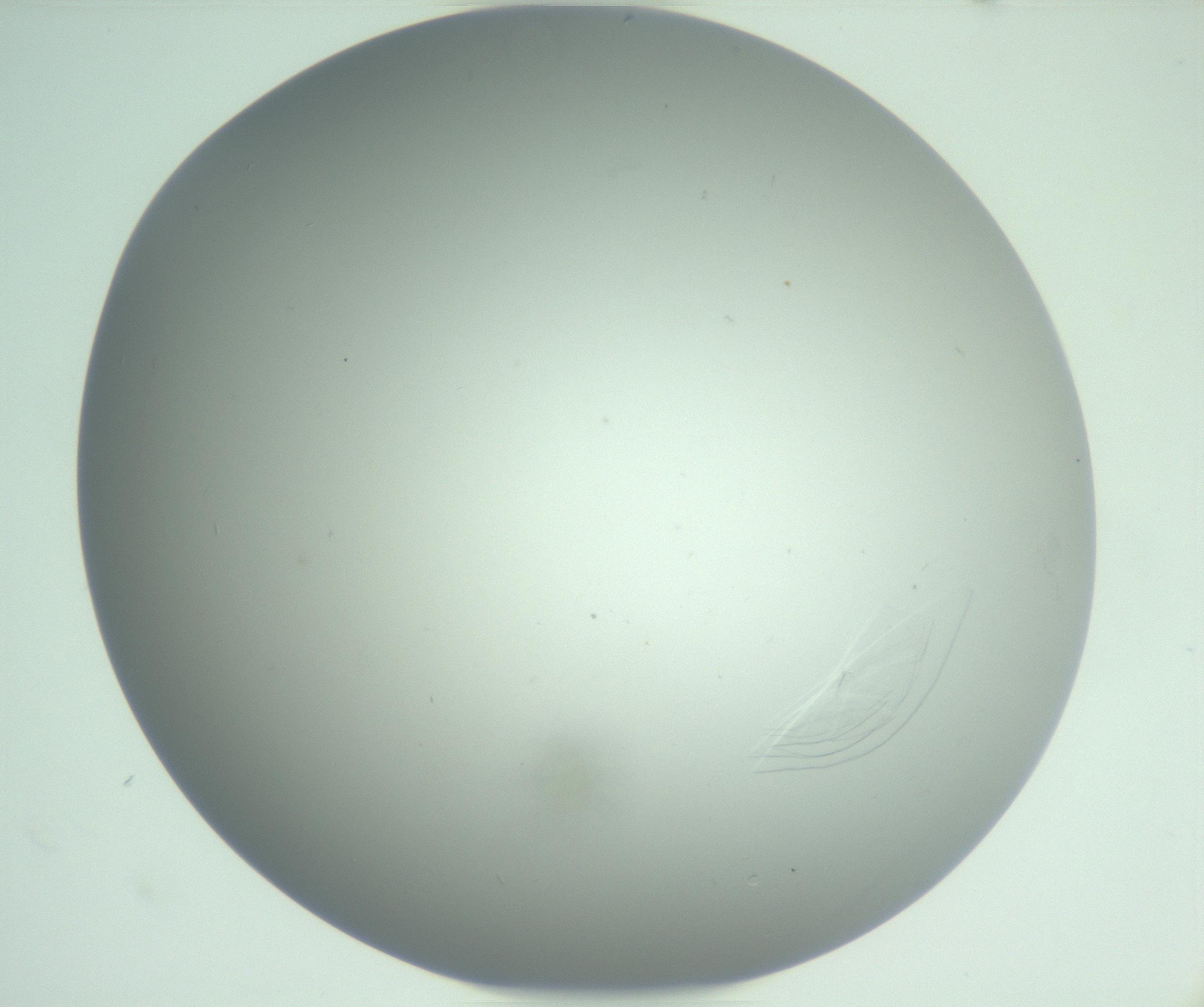 RI01_03_000_0212_Proj1_Clon1_MC_0000MC102986_006_161126_11_01_01_00_99_002_001_RAI.jpg