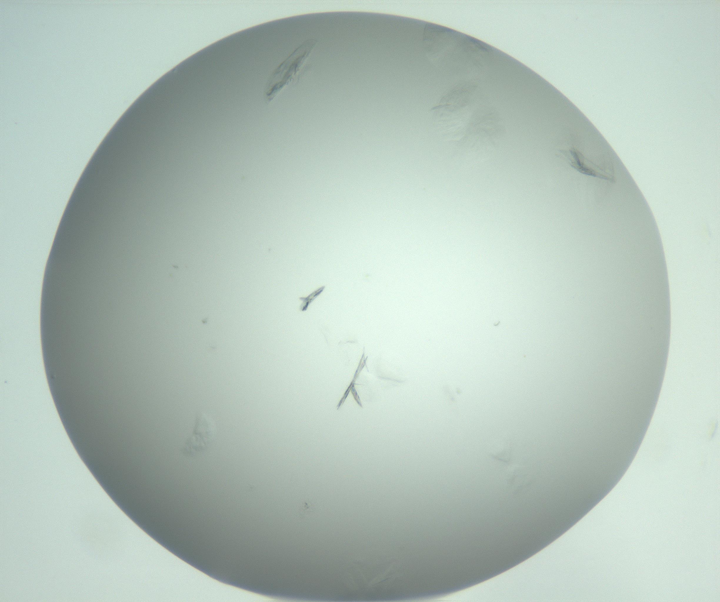 RI01_03_000_0212_Proj1_Clon1_MC_0000MC102986_006_161126_11_07_02_00_99_002_001_RAI.jpg