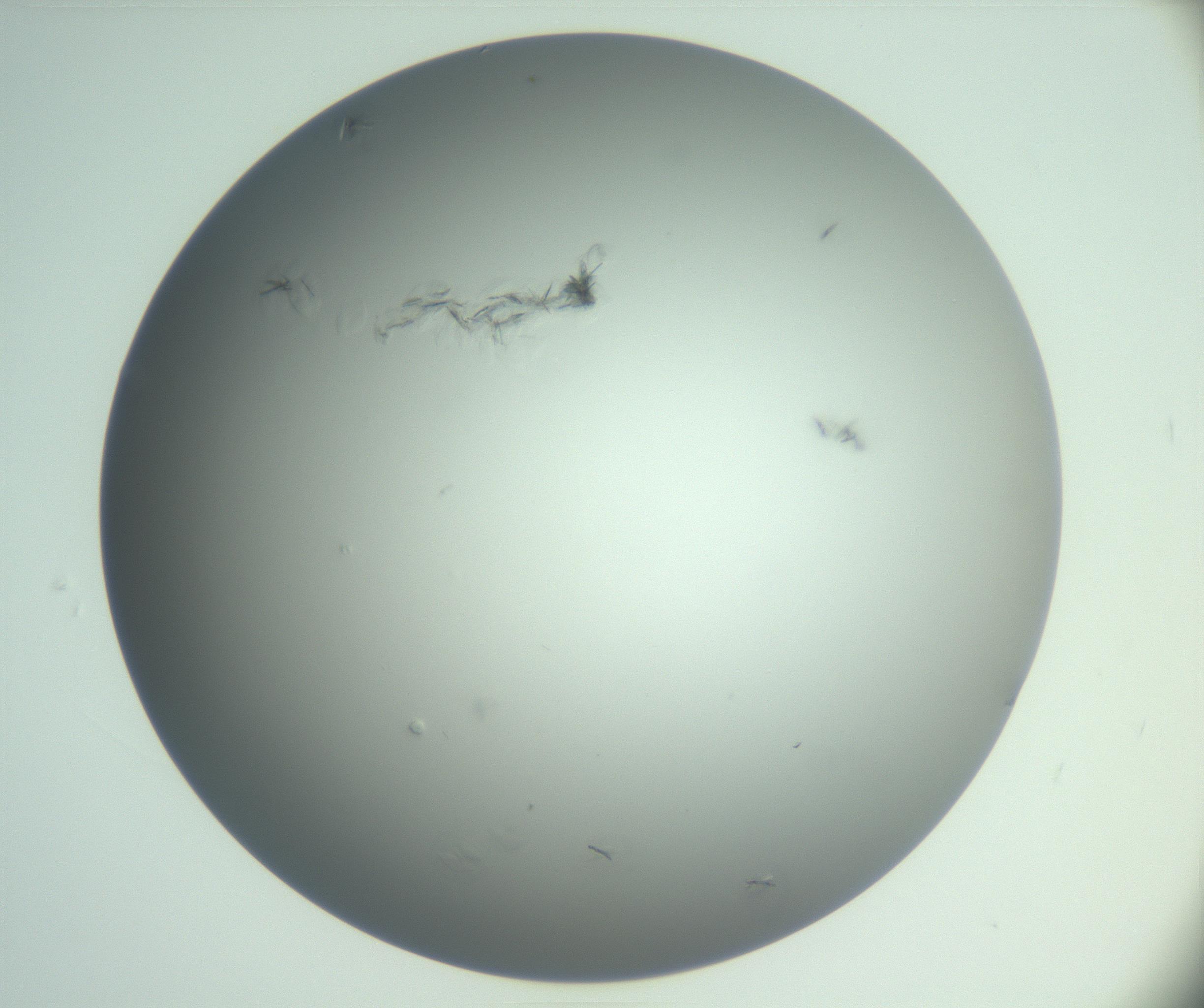 RI01_03_000_0212_Proj1_Clon1_MC_0000MC102987_003_161119_01_08_01_00_99_002_001_RAI.jpg