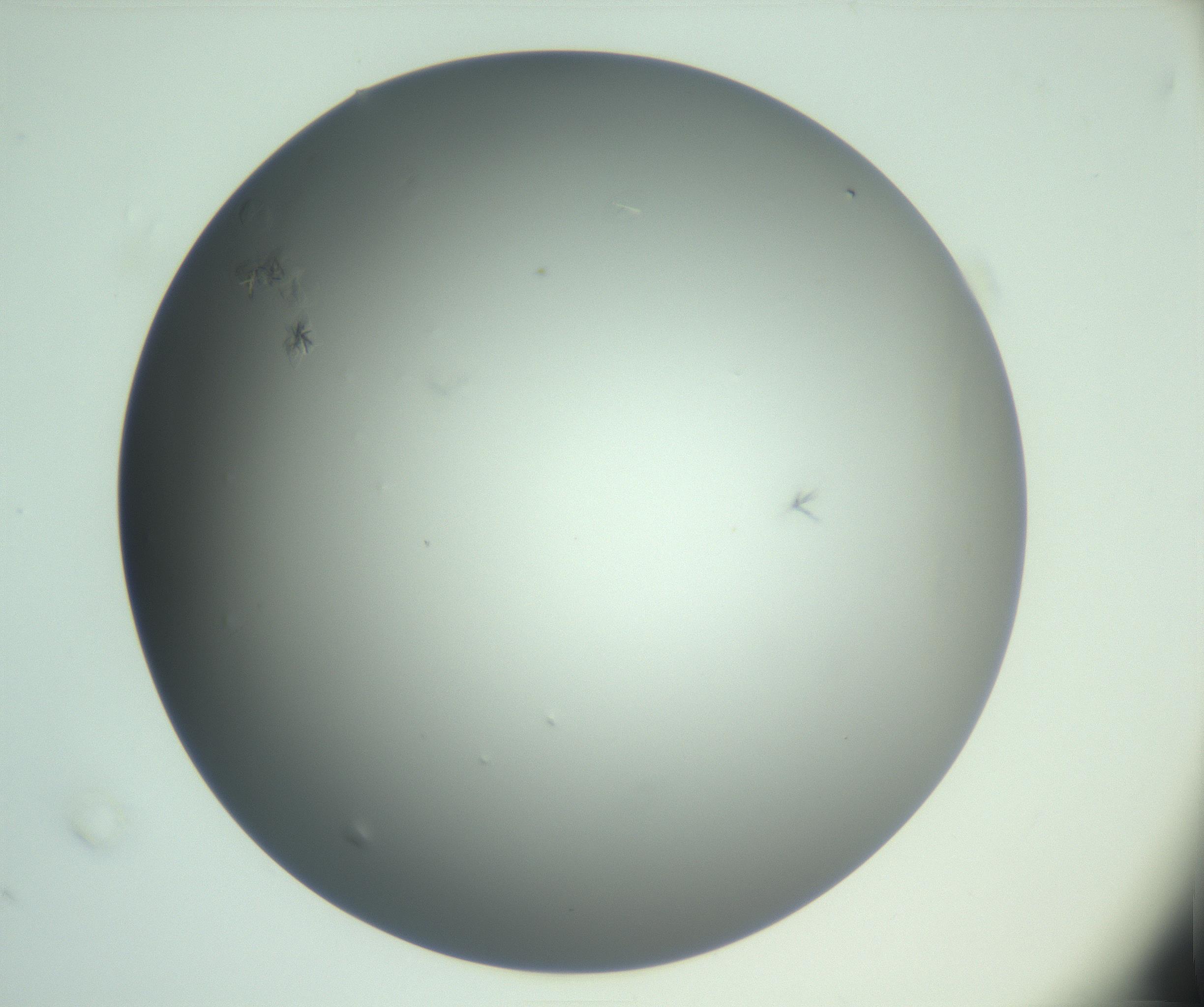 RI01_03_000_0212_Proj1_Clon1_MC_0000MC102987_003_161119_02_03_01_00_99_002_001_RAI.jpg