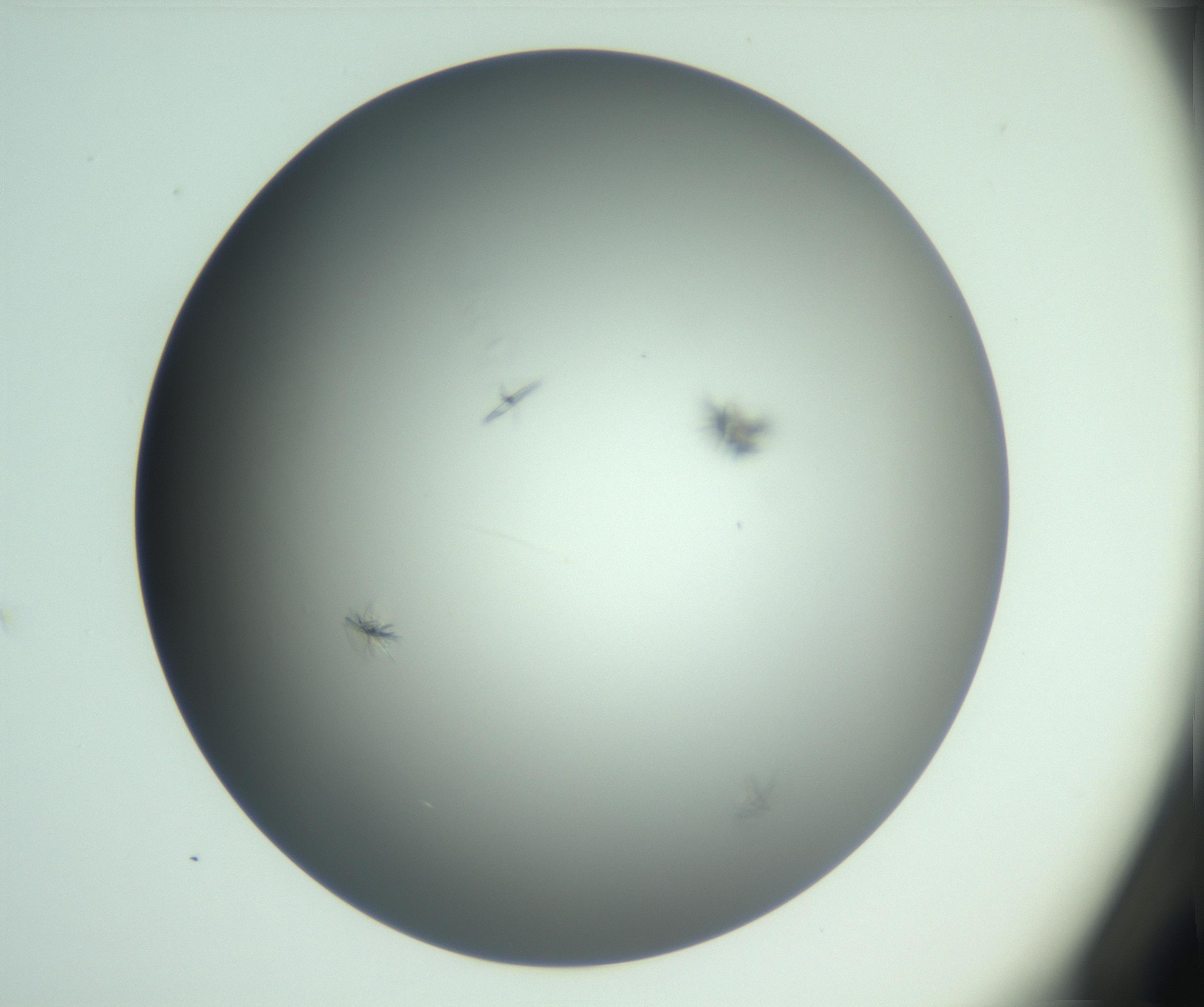 RI01_03_000_0212_Proj1_Clon1_MC_0000MC102987_003_161119_03_02_01_00_99_002_001_RAI.jpg