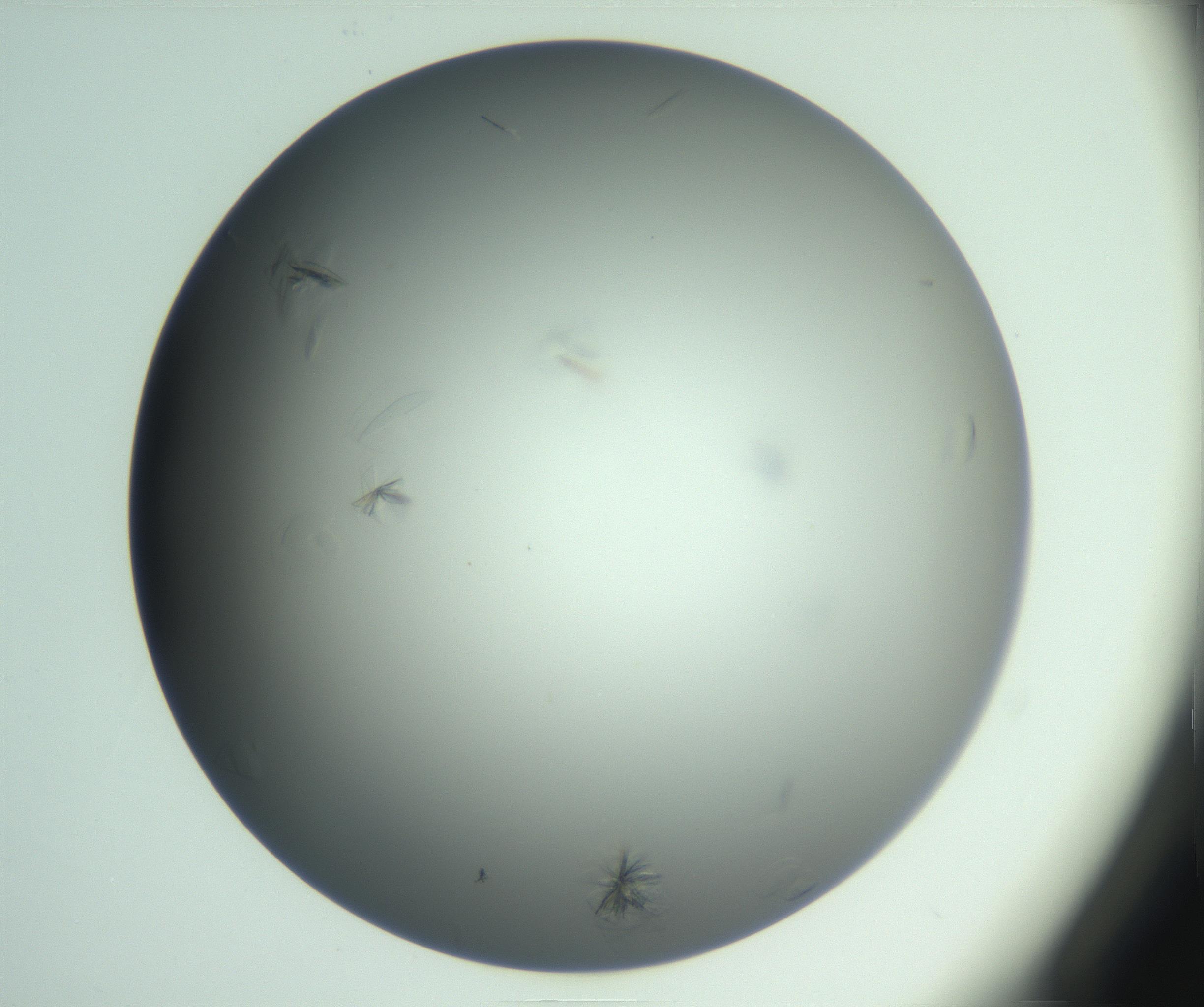 RI01_03_000_0212_Proj1_Clon1_MC_0000MC102987_003_161119_03_03_01_00_99_002_001_RAI.jpg