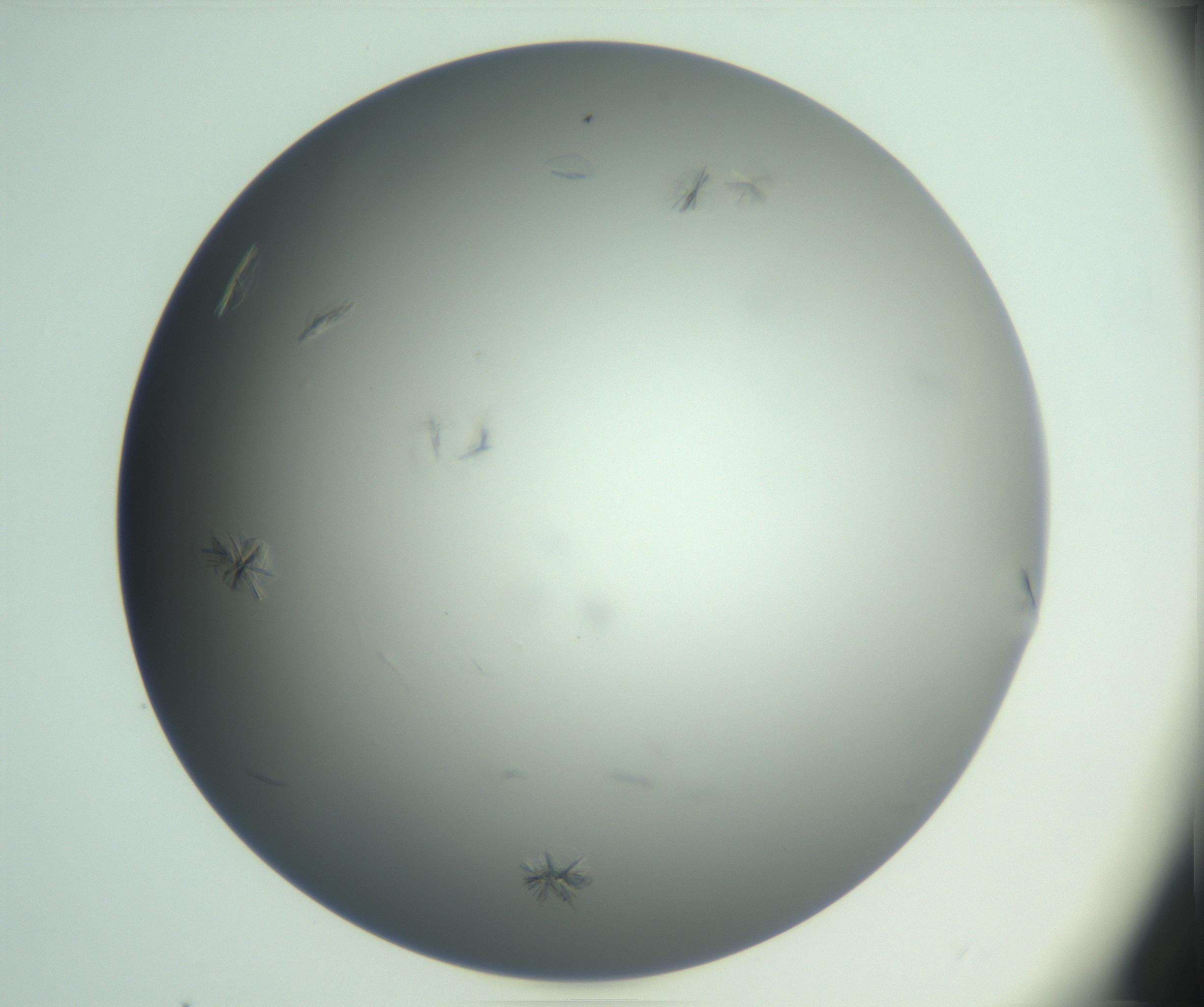 RI01_03_000_0212_Proj1_Clon1_MC_0000MC102987_003_161119_04_08_01_00_99_002_001_RAI.jpg