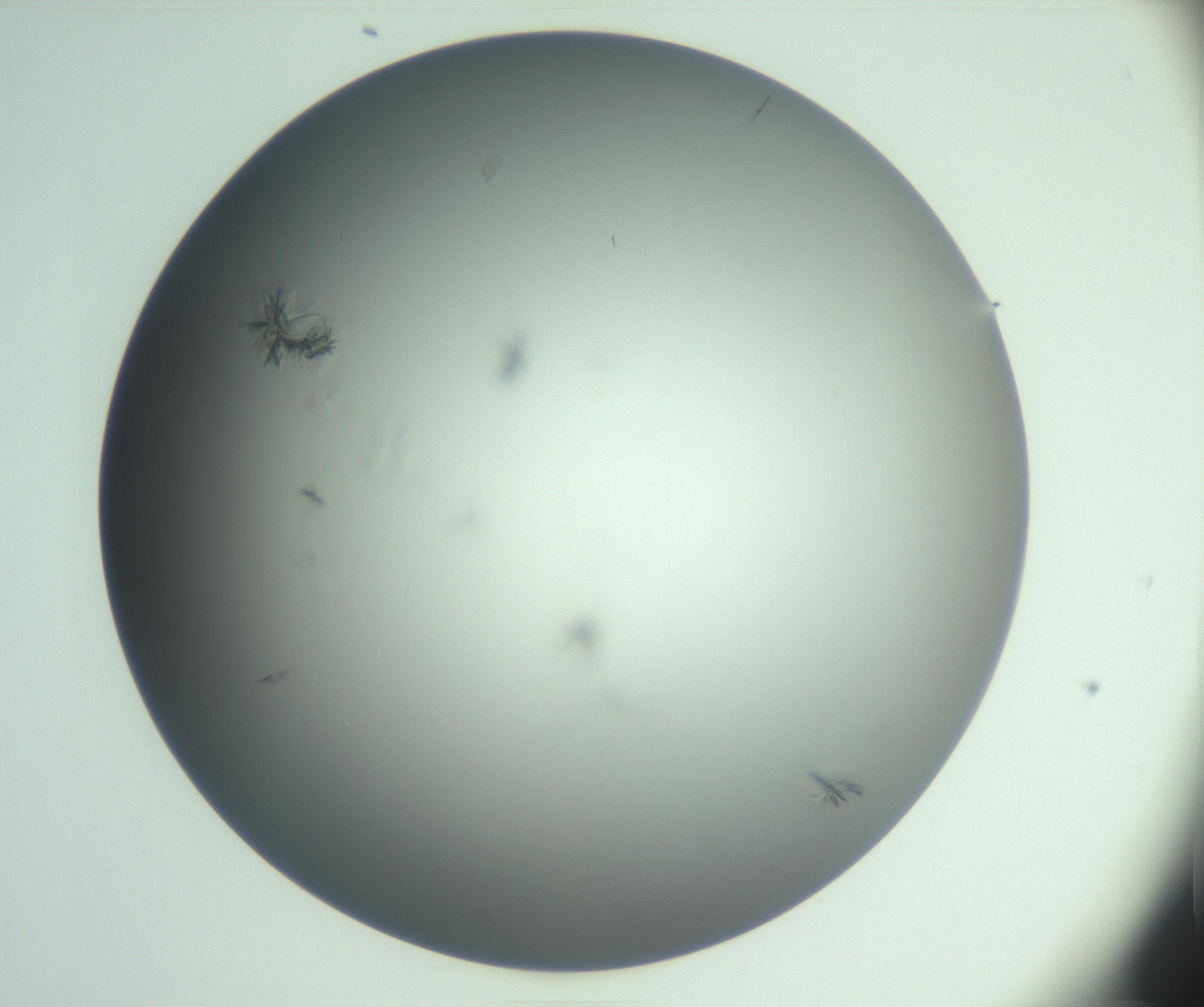RI01_03_000_0212_Proj1_Clon1_MC_0000MC102987_003_161119_05_05_01_00_99_002_001_RAI.jpg