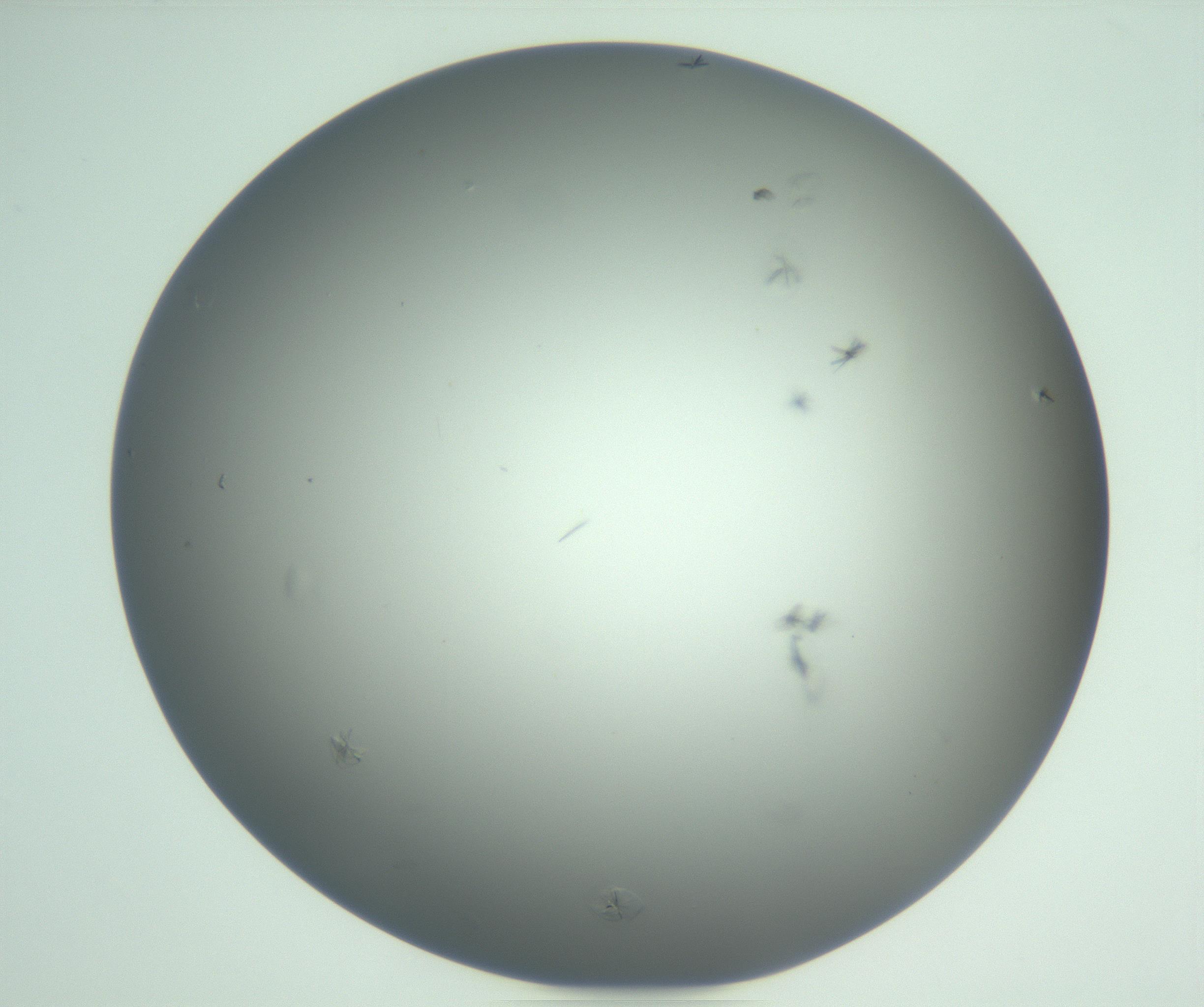 RI01_03_000_0212_Proj1_Clon1_MC_0000MC102987_003_161119_05_07_01_00_99_002_001_RAI.jpg