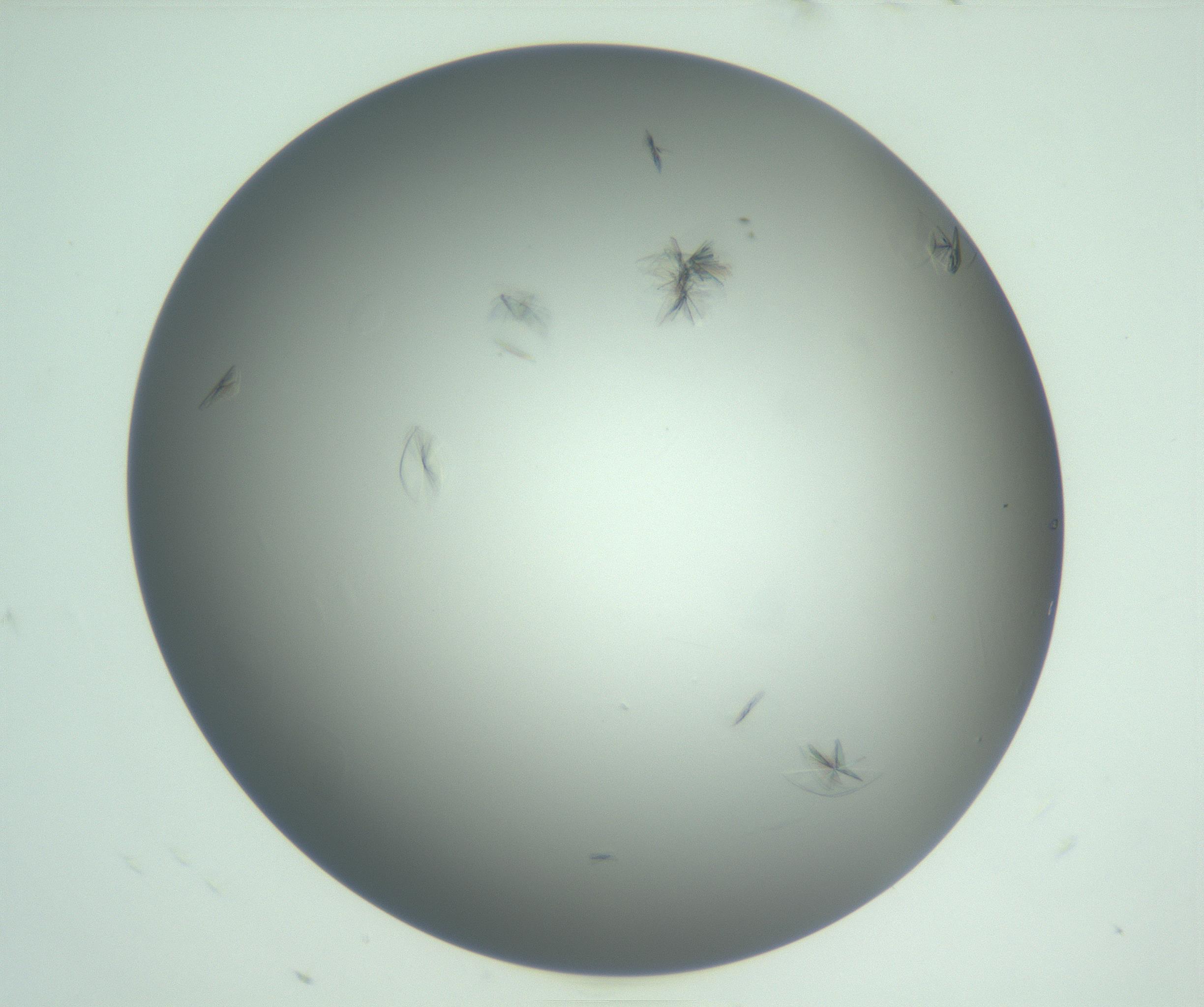 RI01_03_000_0212_Proj1_Clon1_MC_0000MC102987_003_161119_06_01_01_00_99_002_001_RAI.jpg
