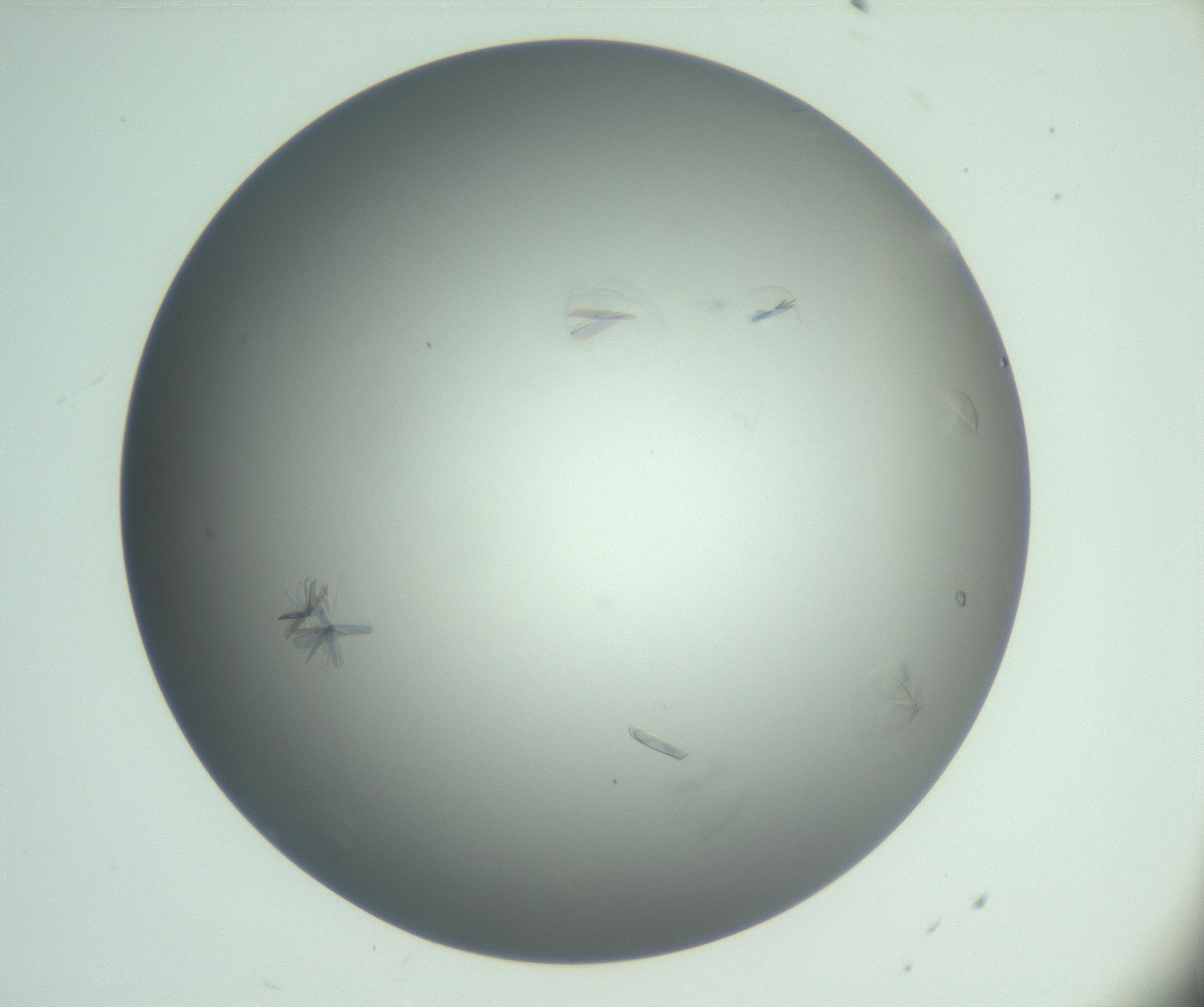 RI01_03_000_0212_Proj1_Clon1_MC_0000MC102987_003_161119_08_03_01_00_99_002_001_RAI.jpg