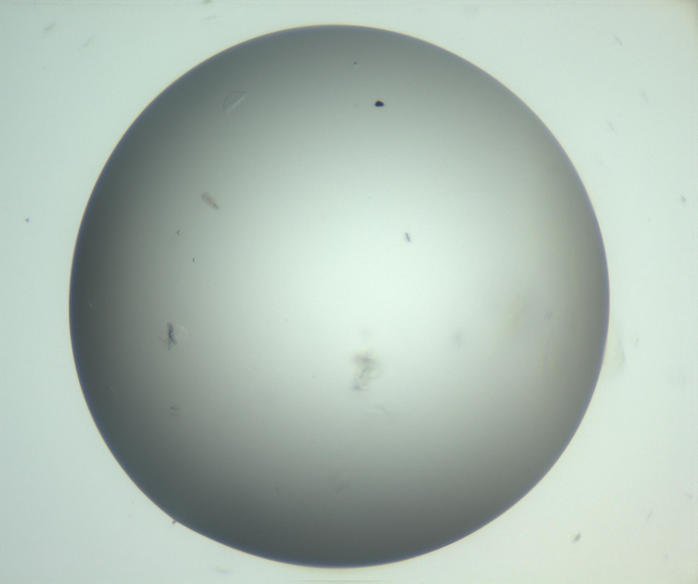 RI01_03_000_0212_Proj1_Clon1_MC_0000MC102987_003_161119_08_08_01_00_99_002_001_RAI.jpg