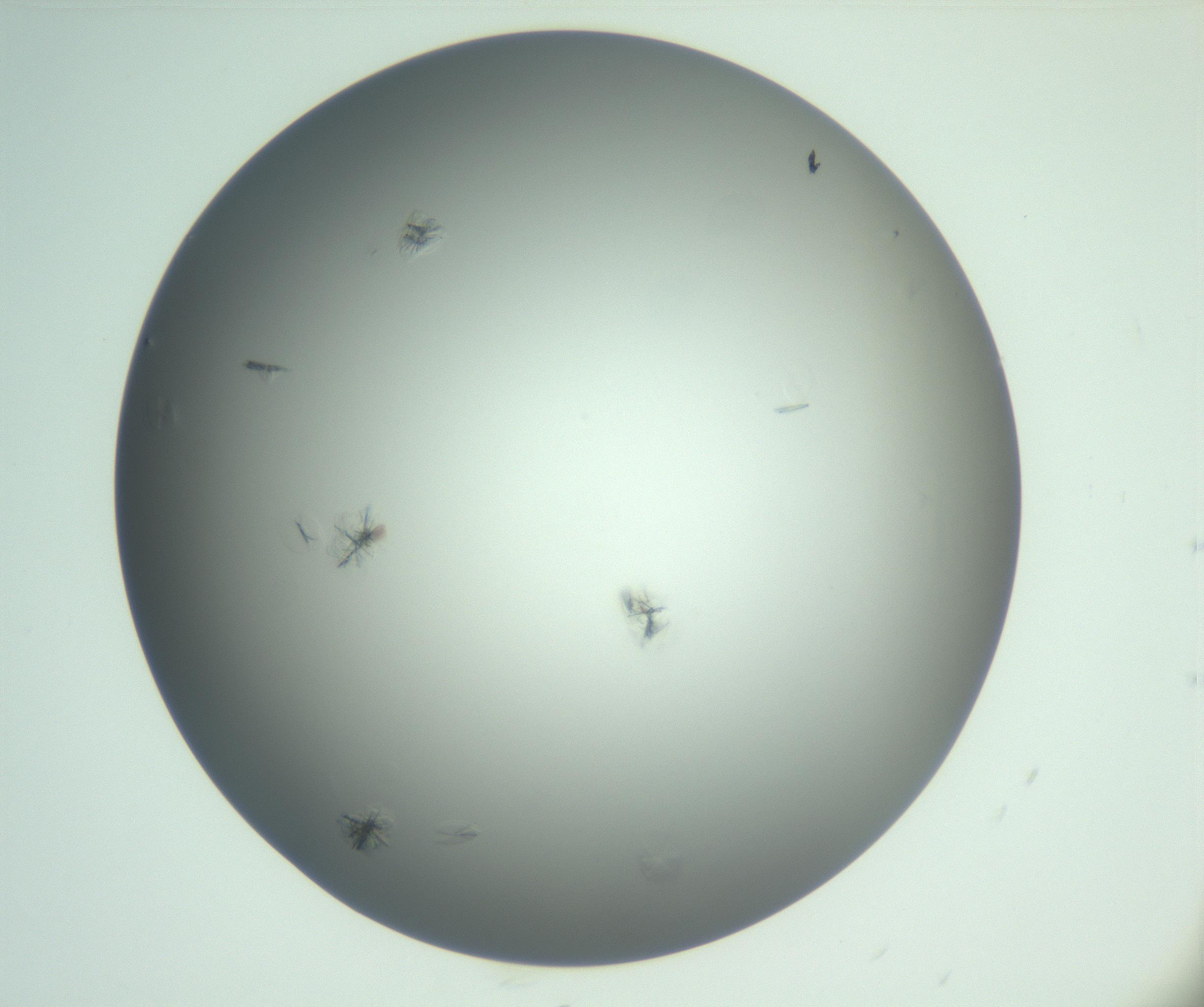 RI01_03_000_0212_Proj1_Clon1_MC_0000MC102987_003_161119_09_03_01_00_99_002_001_RAI.jpg