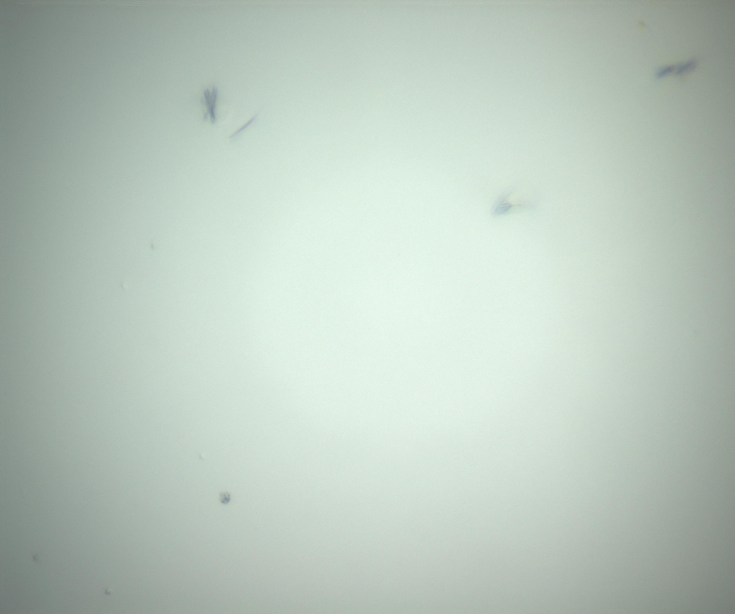 RI01_03_000_0212_Proj1_Clon1_MC_0000MC102987_003_161119_09_04_01_00_99_002_001_RAI.jpg