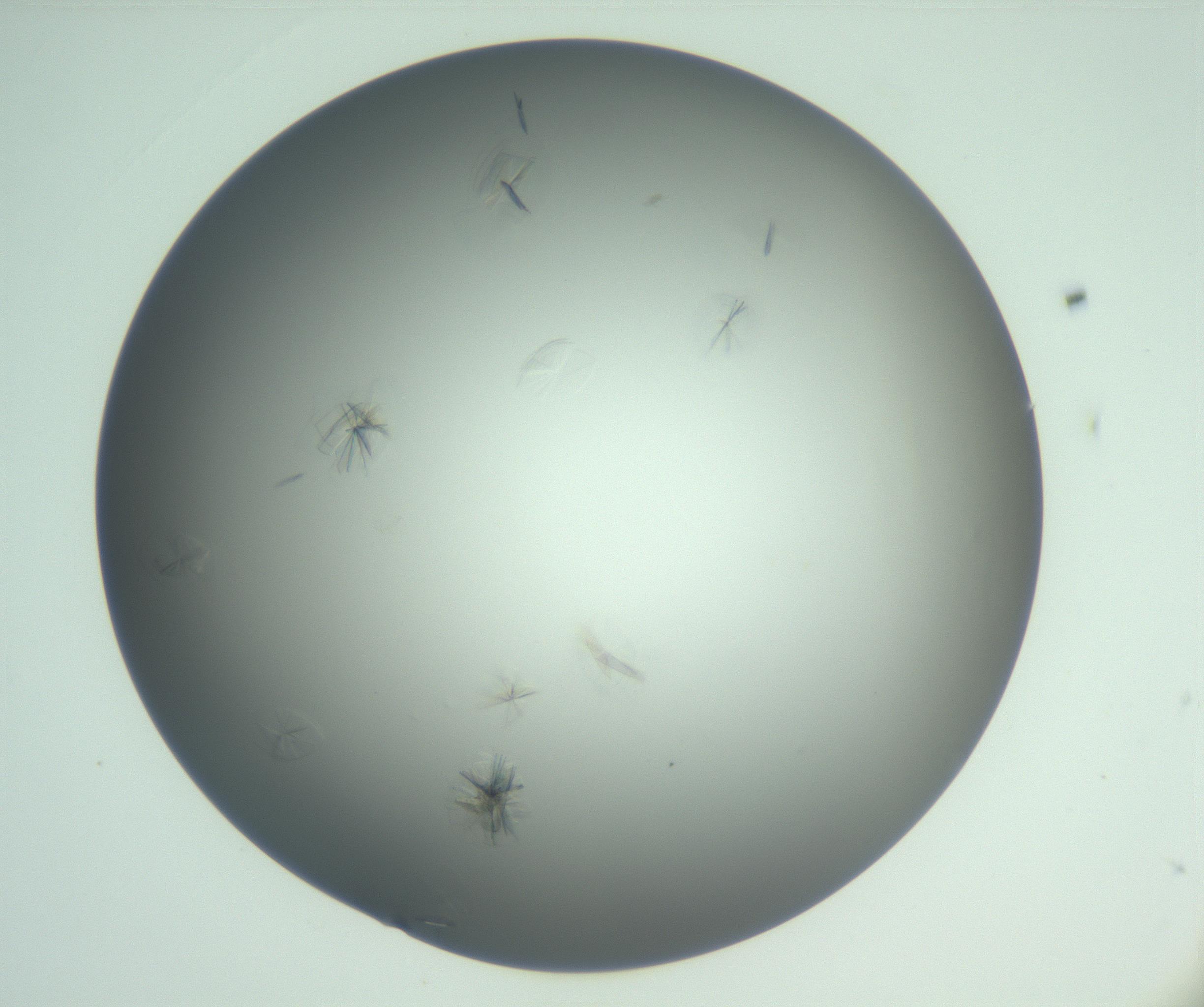 RI01_03_000_0212_Proj1_Clon1_MC_0000MC102987_003_161119_09_05_01_00_99_002_001_RAI.jpg