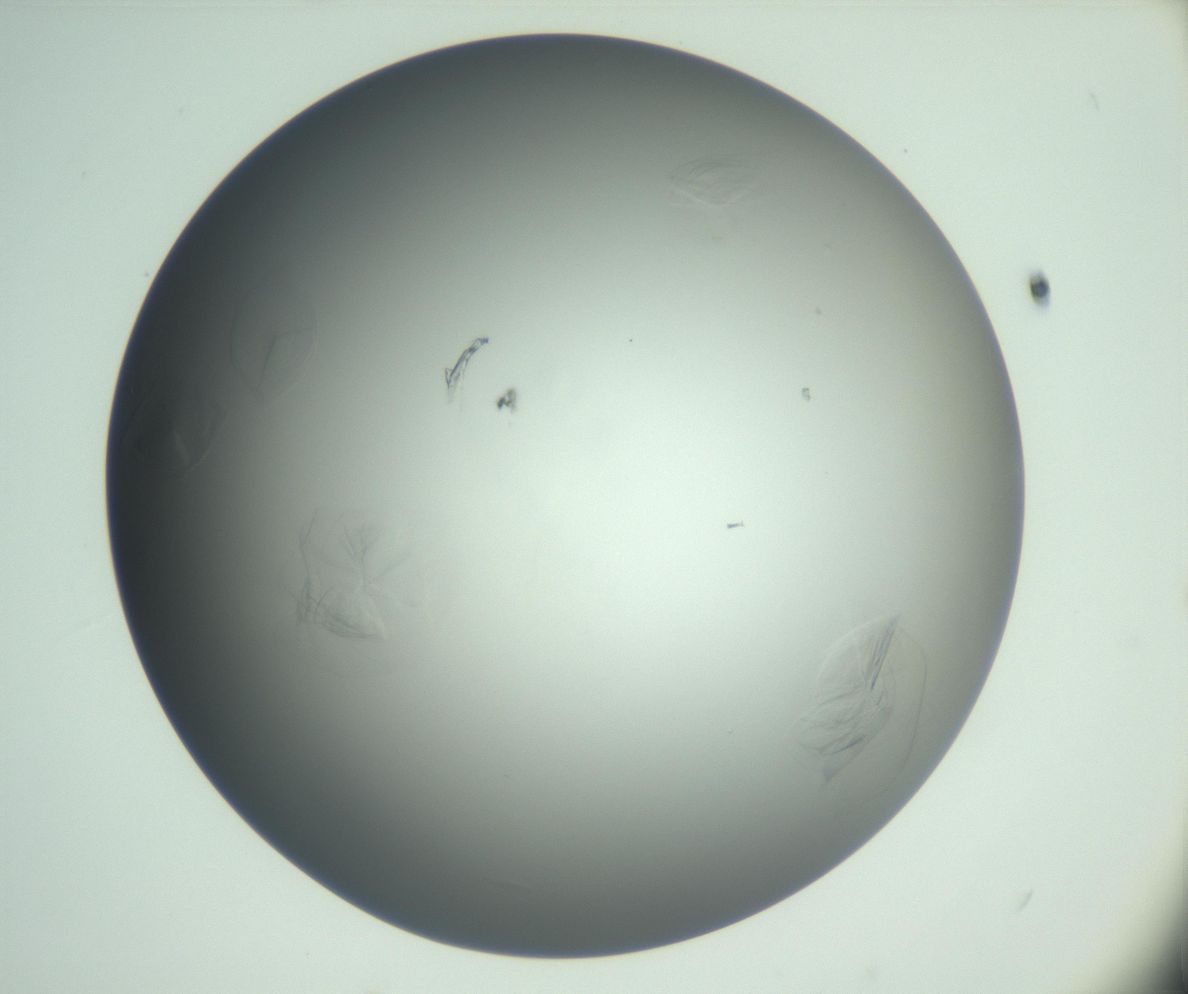 RI01_03_000_0212_Proj1_Clon1_MC_0000MC102987_004_161121_11_04_01_00_99_002_001_RAI.jpg