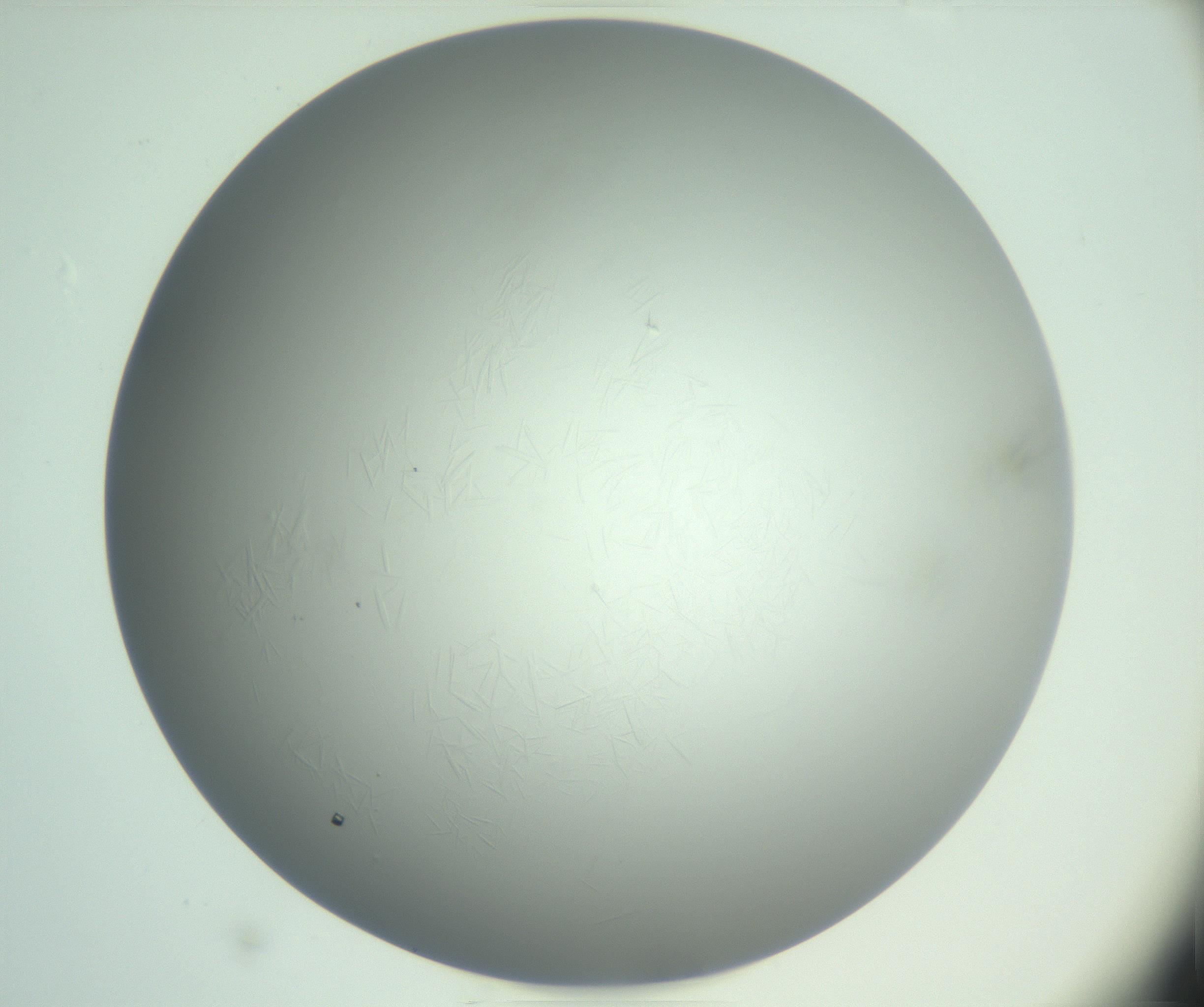 RI01_03_000_0212_Proj1_Clon1_MC_0000MC102988_003_161119_01_04_01_00_99_002_001_RAI.jpg