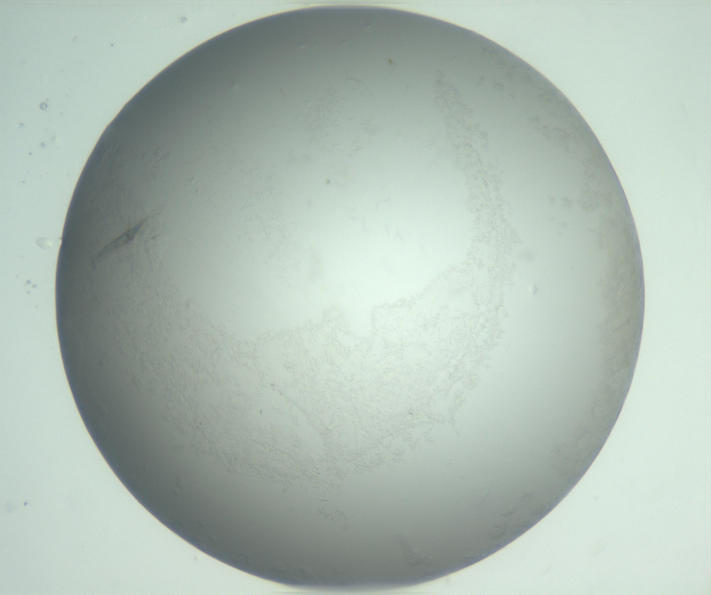 RI01_03_000_0212_Proj1_Clon1_MC_0000MC102988_003_161119_01_07_01_00_99_002_001_RAI.jpg