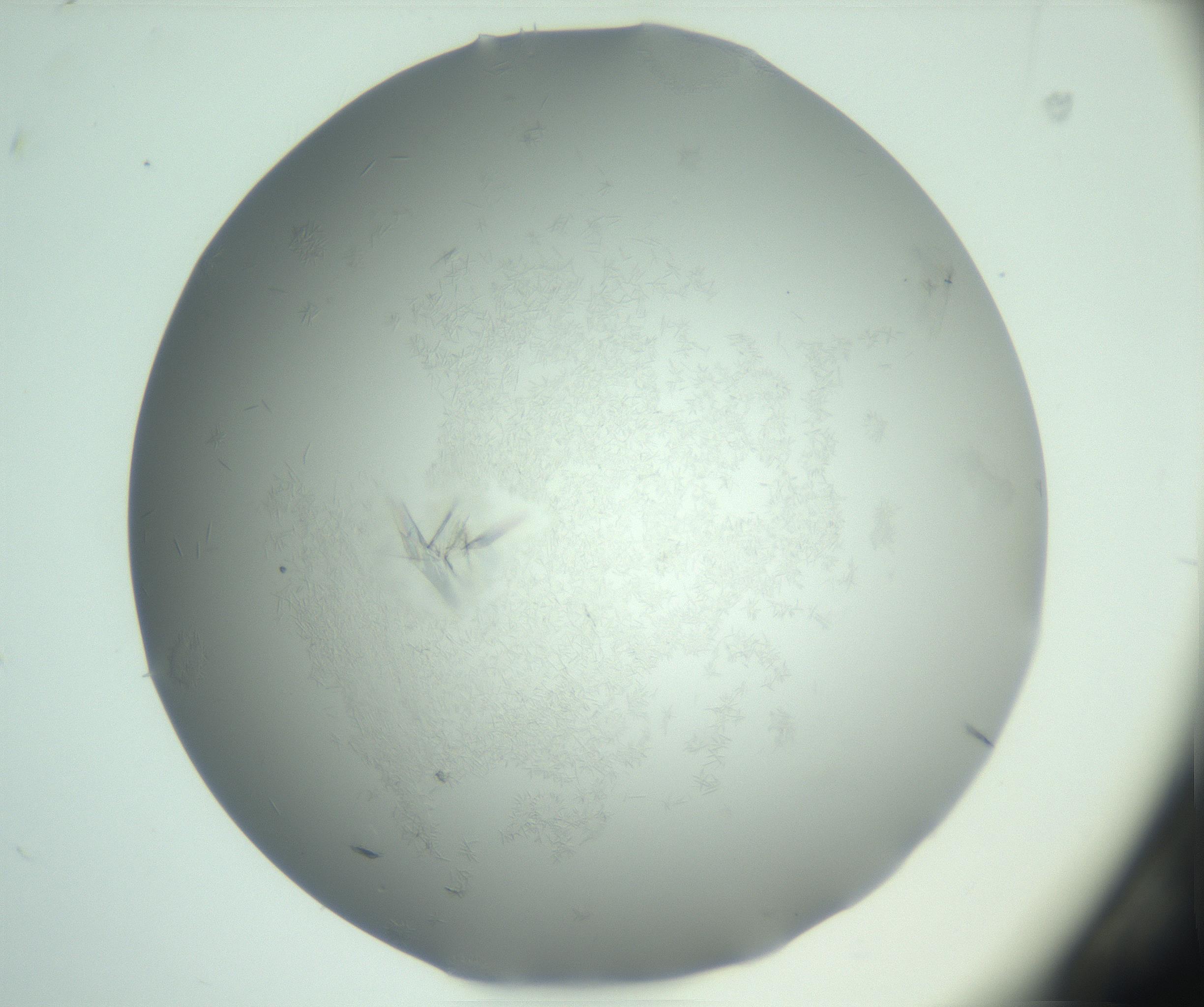 RI01_03_000_0212_Proj1_Clon1_MC_0000MC102988_003_161119_02_02_01_00_99_002_001_RAI.jpg