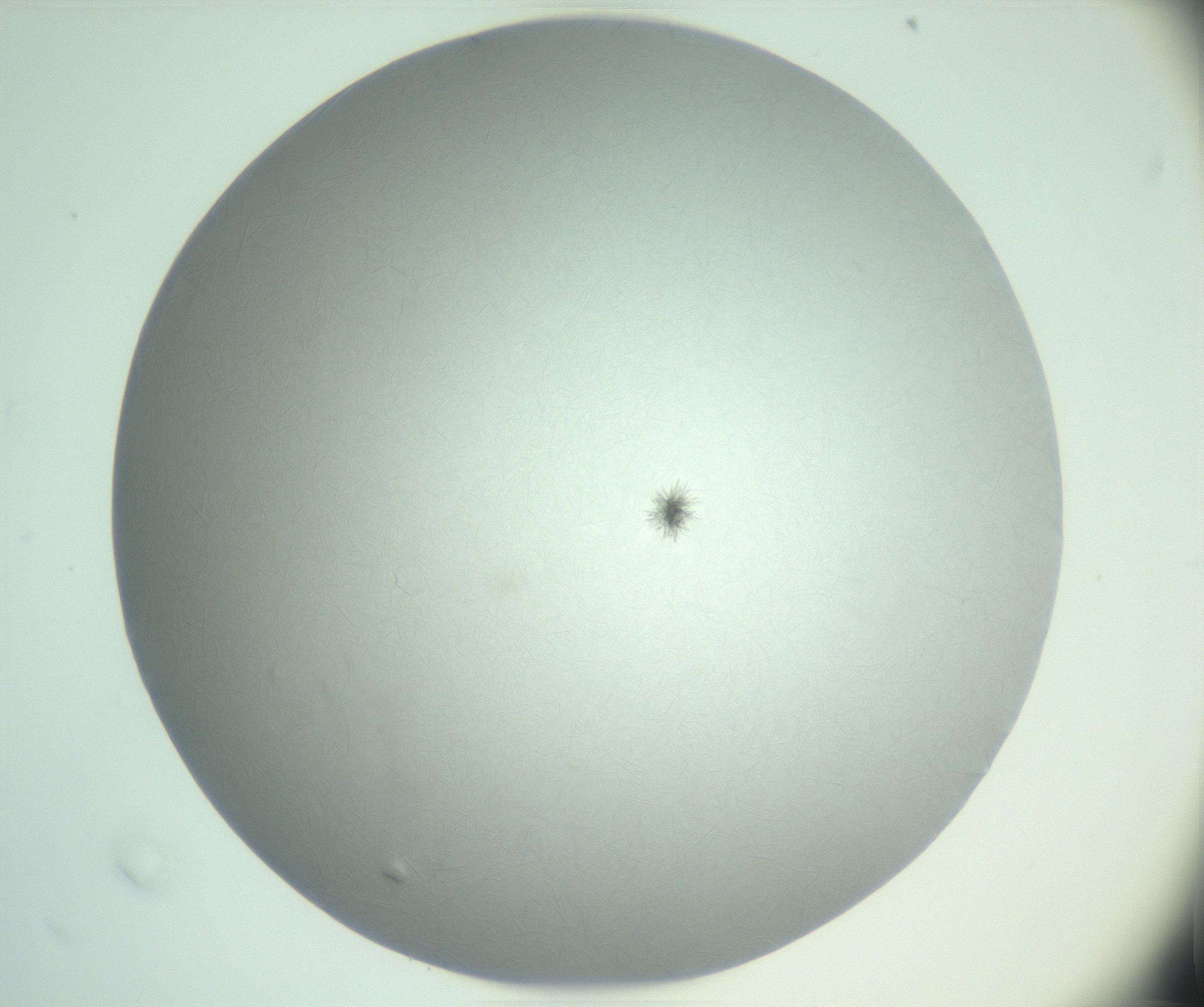 RI01_03_000_0212_Proj1_Clon1_MC_0000MC102988_003_161119_02_03_01_00_99_002_001_RAI.jpg