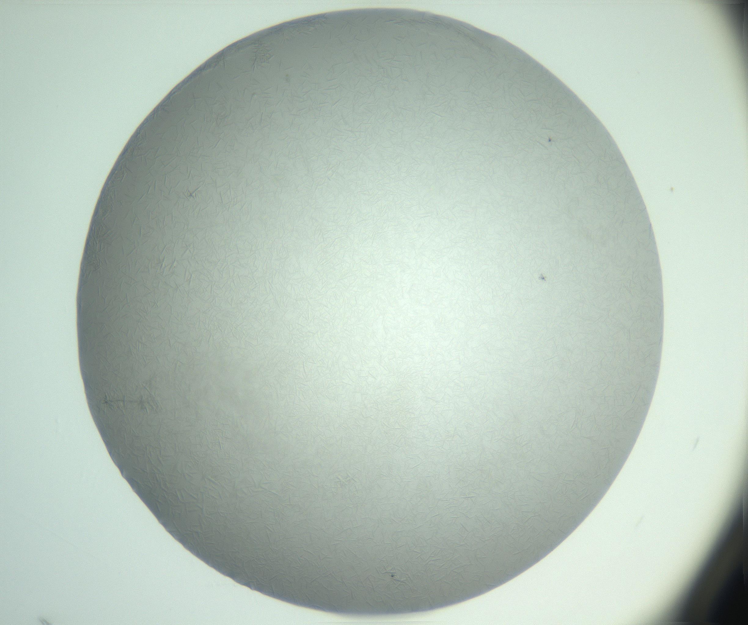 RI01_03_000_0212_Proj1_Clon1_MC_0000MC102988_003_161119_02_04_01_00_99_002_001_RAI.jpg