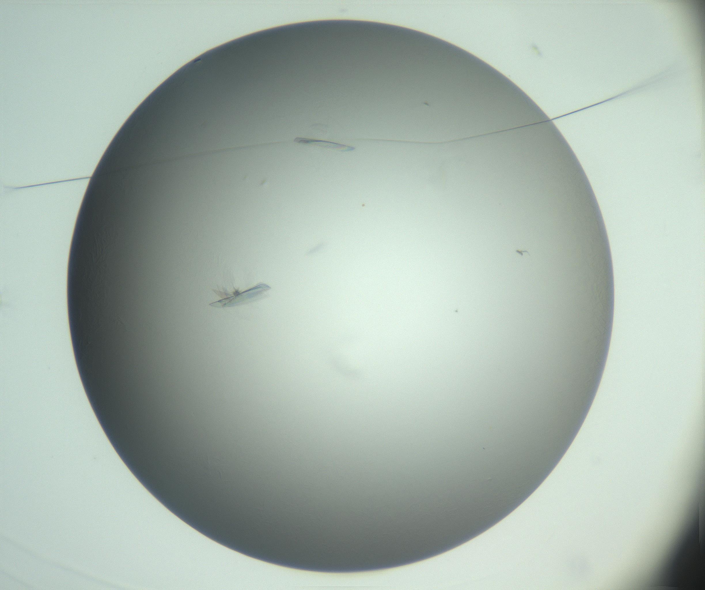 RI01_03_000_0212_Proj1_Clon1_MC_0000MC102988_003_161119_03_01_01_00_99_002_001_RAI.jpg