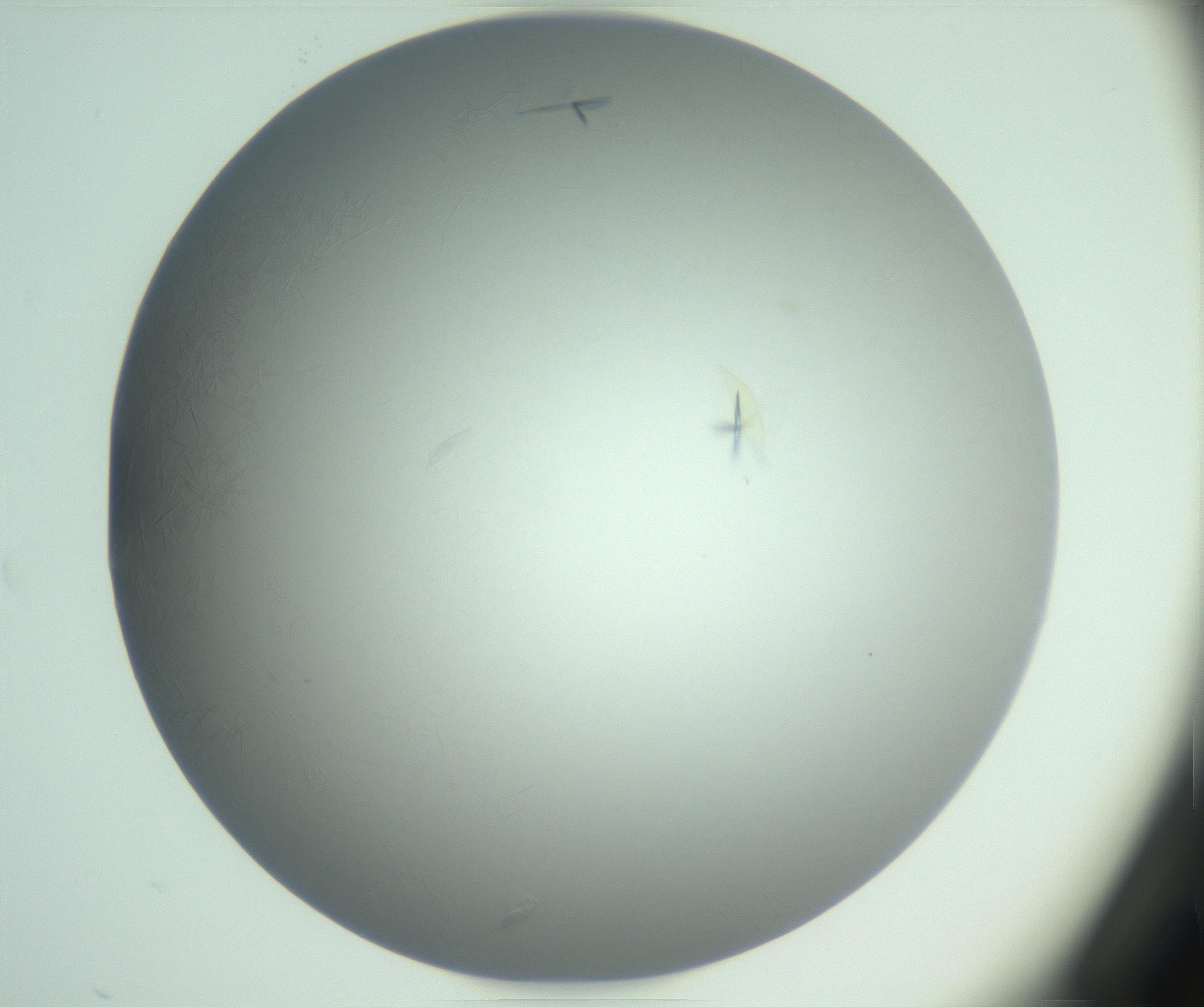 RI01_03_000_0212_Proj1_Clon1_MC_0000MC102988_003_161119_03_02_01_00_99_002_001_RAI.jpg